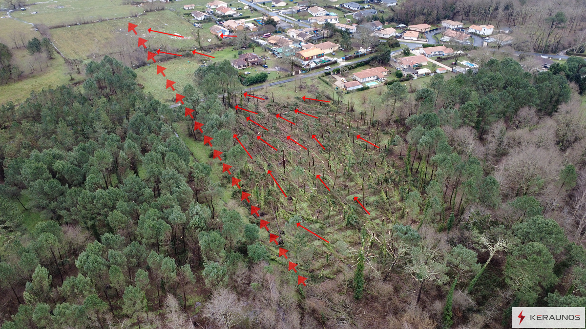 Tornade EF1 à Mios (Gironde) le 31 janvier 2026
