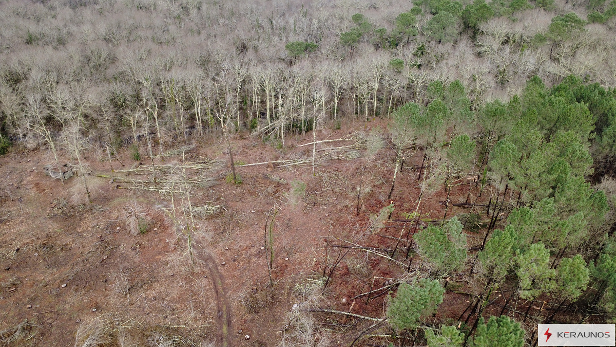 Tornade EF1 à Mios (Gironde) le 31 janvier 2026