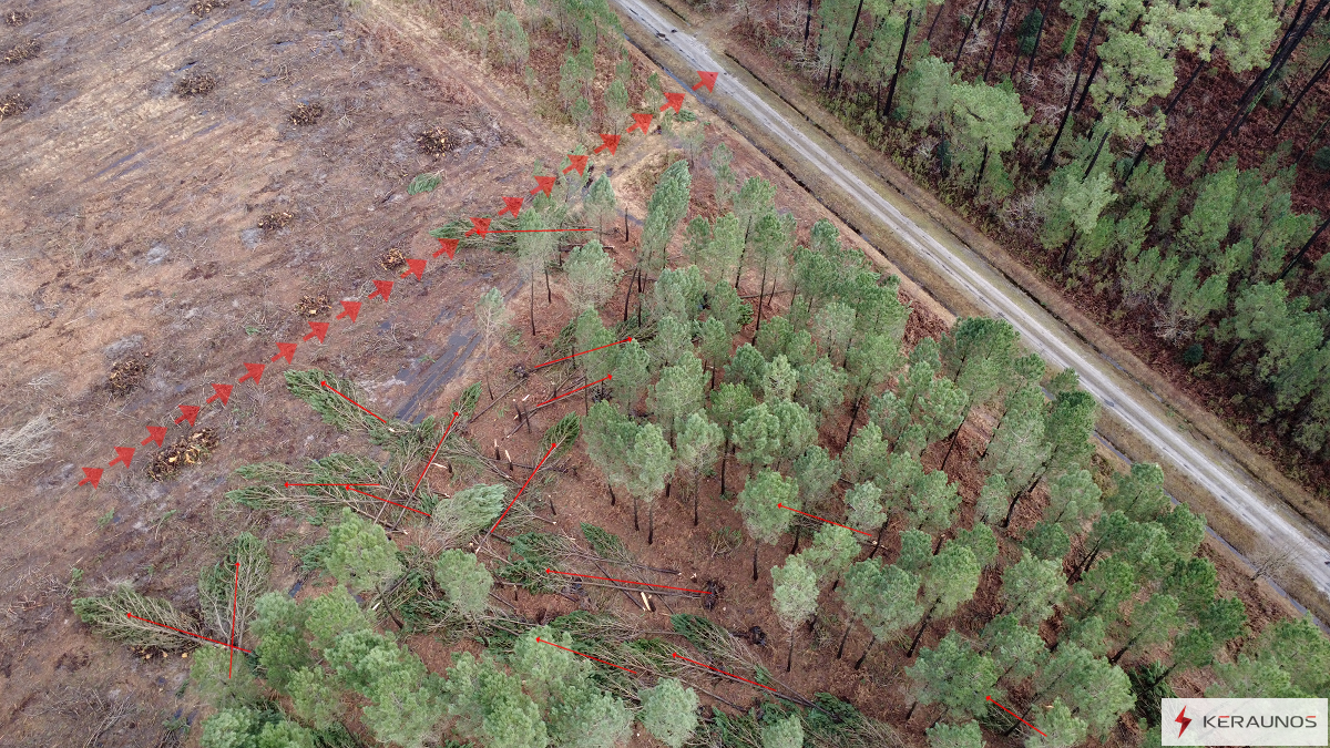 Tornade EF1 à Mios (Gironde) le 31 janvier 2026
