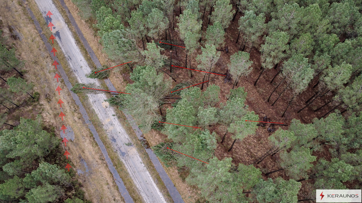 Tornade EF1 à Mios (Gironde) le 31 janvier 2026