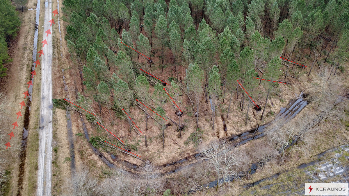 Tornade EF1 à Mios (Gironde) le 31 janvier 2026