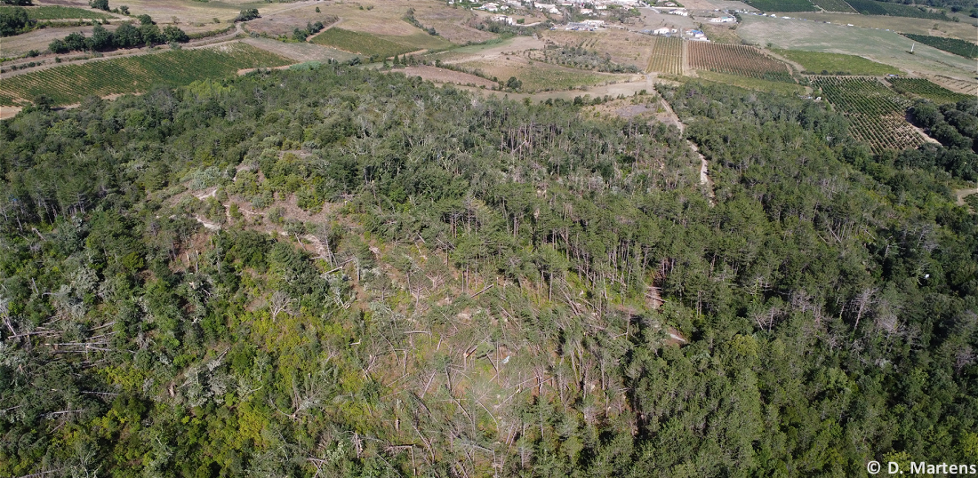 Tornade EF3 à Pomas (Aude) le 24 août 2026