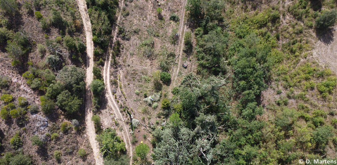 Tornade EF3 à Pomas (Aude) le 24 août 2026
