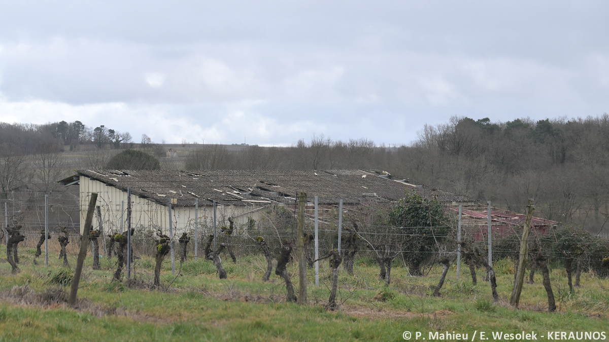 Tornade EF1 à Riocaud (Gironde) le 25 janvier 2026