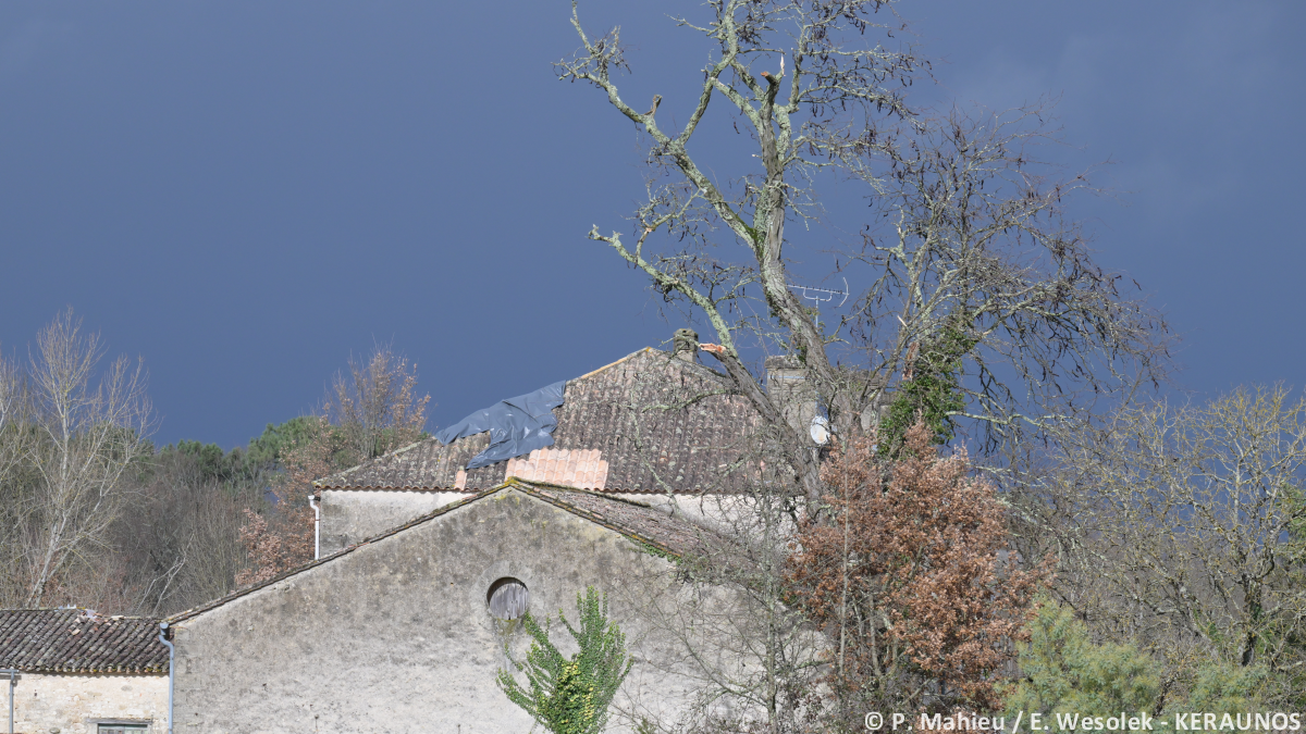 Tornade EF1 à Riocaud (Gironde) le 25 janvier 2026