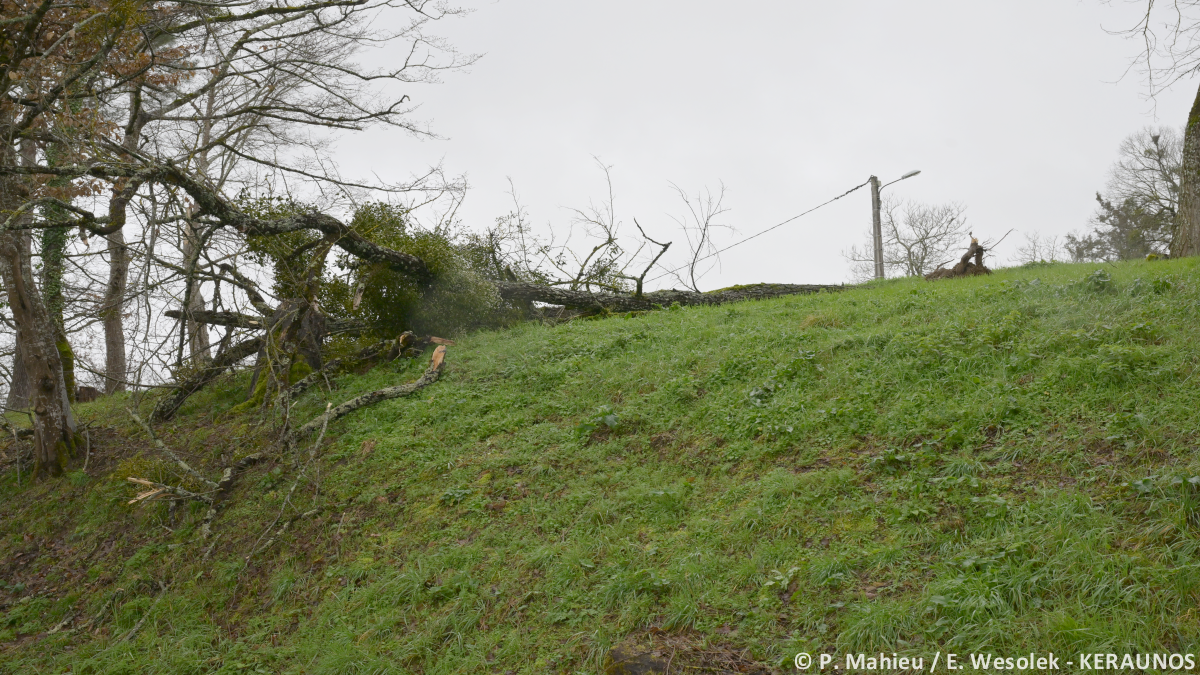 Tornade EF1 à Riocaud (Gironde) le 25 janvier 2026