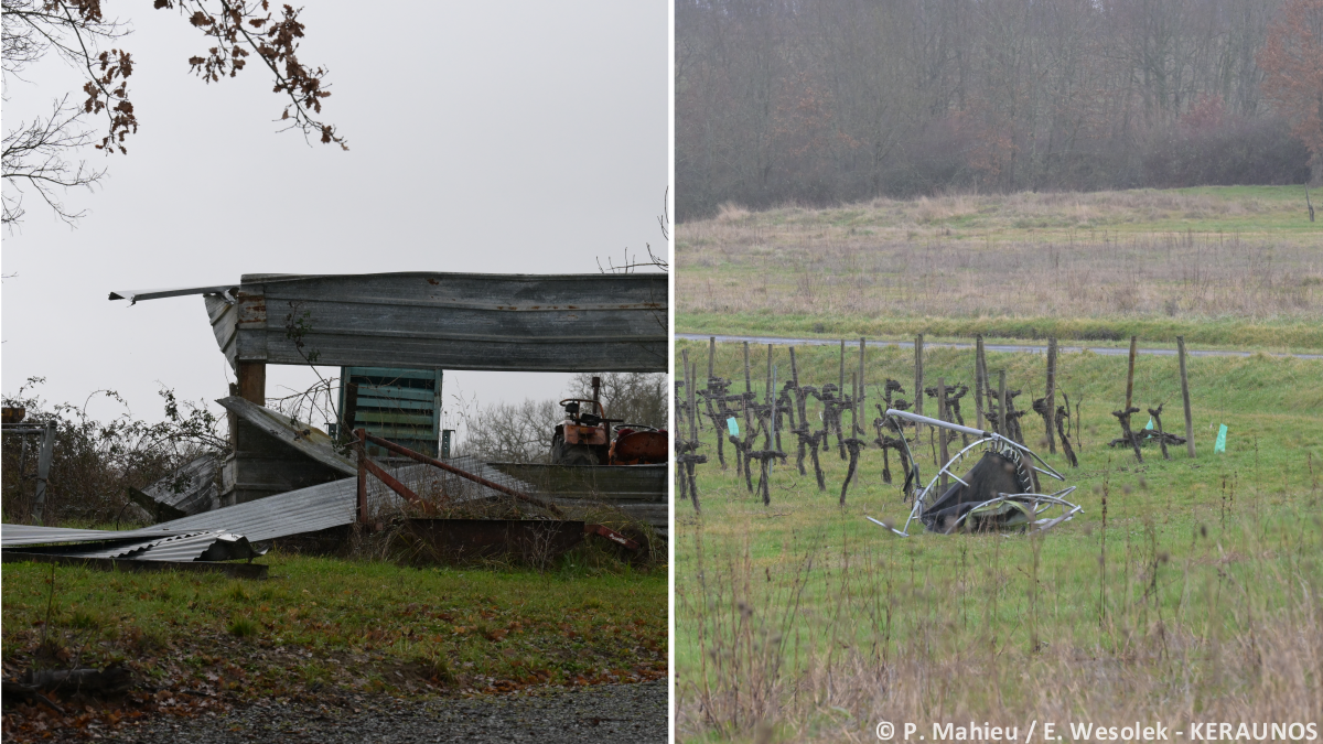Tornade EF1 à Riocaud (Gironde) le 25 janvier 2026
