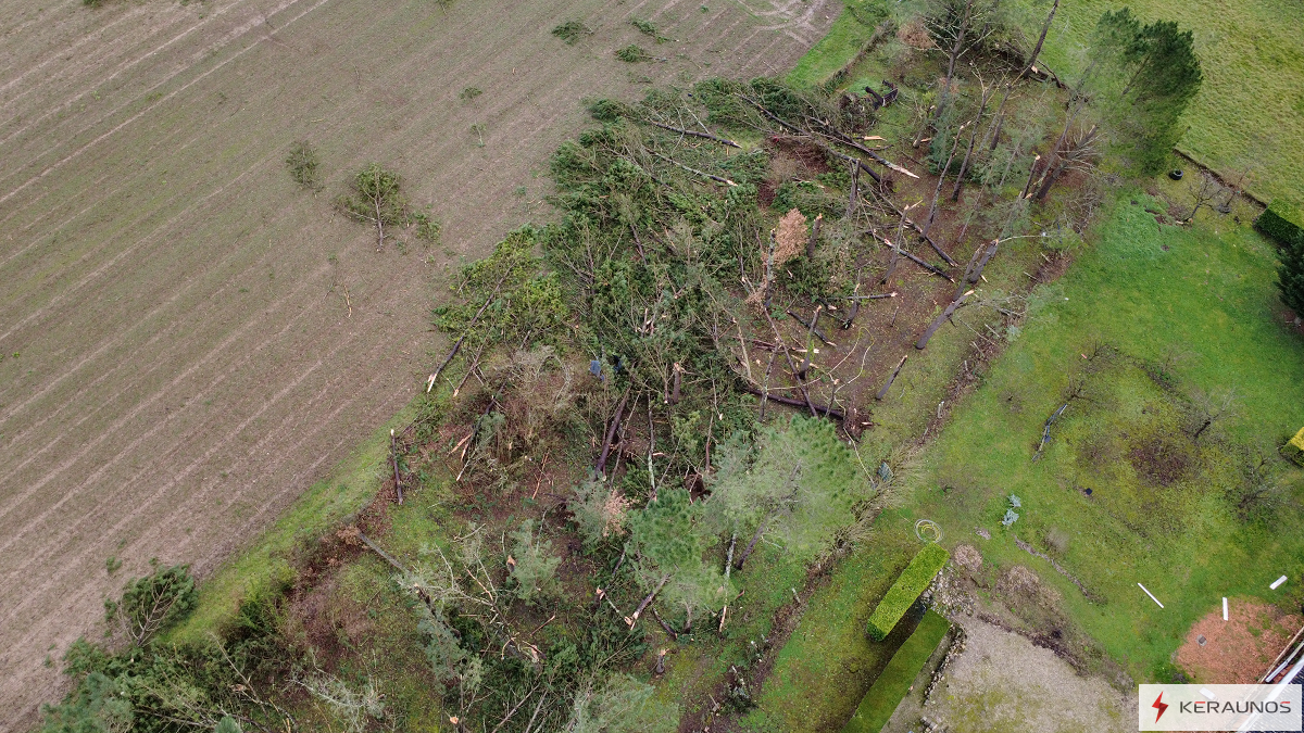 Tornade EF1 à Riocaud (Gironde) le 25 janvier 2026