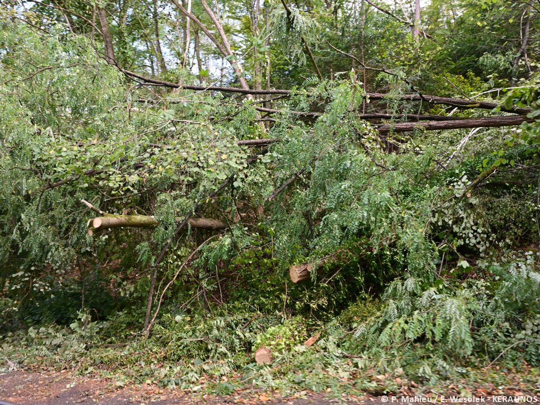 Tornade EF1 à Verneuil-en-Halatte (Oise) le 28 août 2026