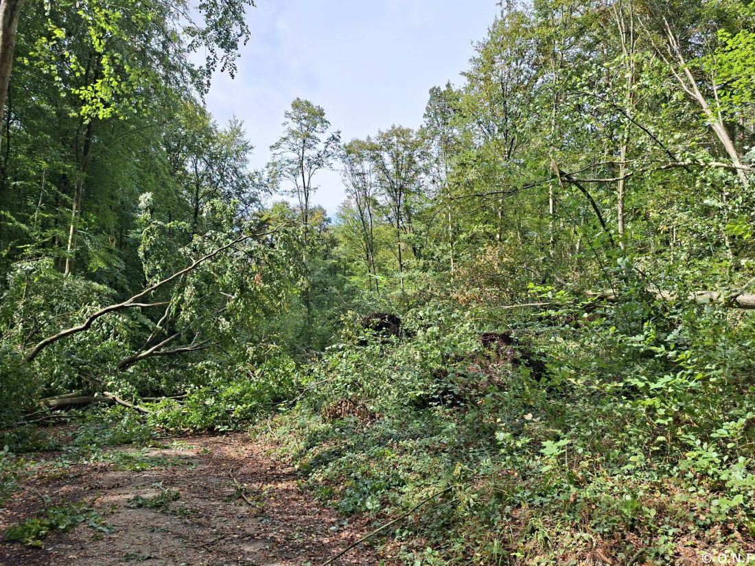 Tornade EF1 à Verneuil-en-Halatte (Oise) le 28 août 2026