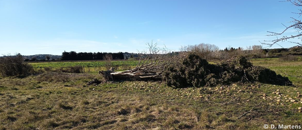 Tornade EF1 à Villeneuve-lès-Avignon (Gard) le 12 février 2026