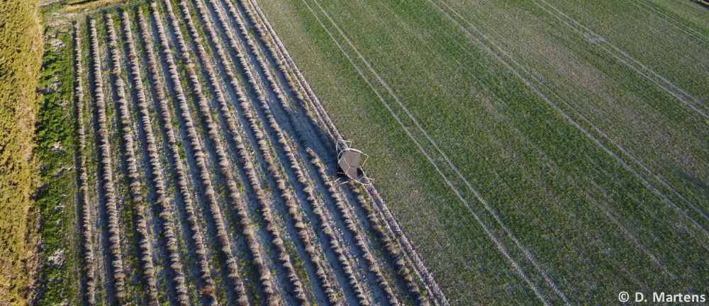 Tornade EF1 à Villeneuve-lès-Avignon (Gard) le 12 février 2026