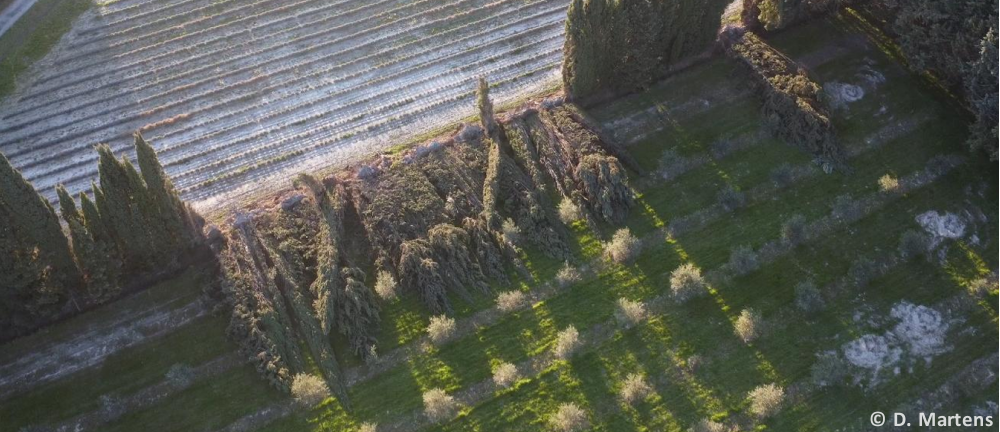Tornade EF1 à Villeneuve-lès-Avignon (Gard) le 12 février 2026