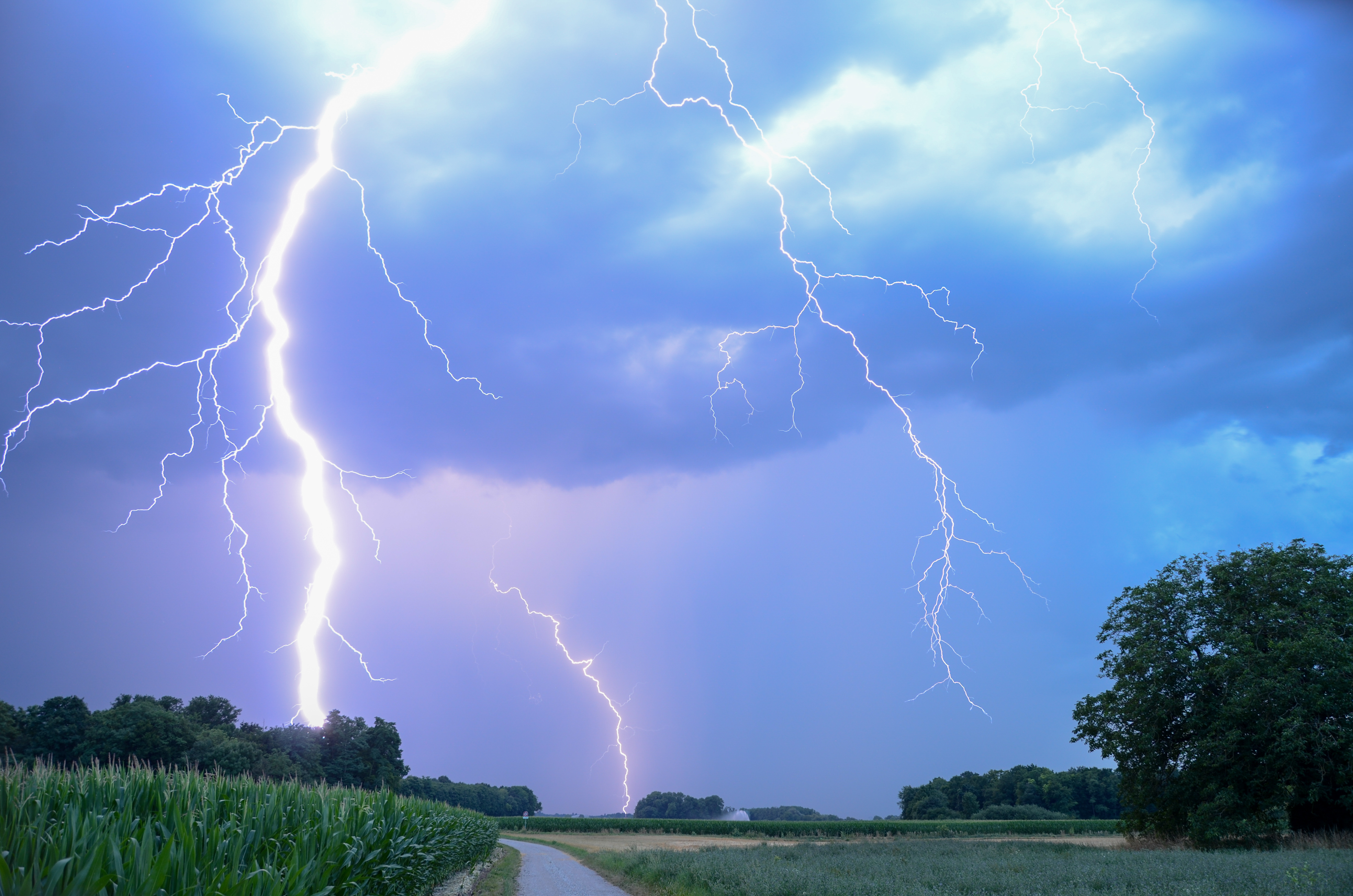 Orages très foudroyants en centre-Alsace après une journée caniculaire - 02/07/2025 22:11 - 67 Orage