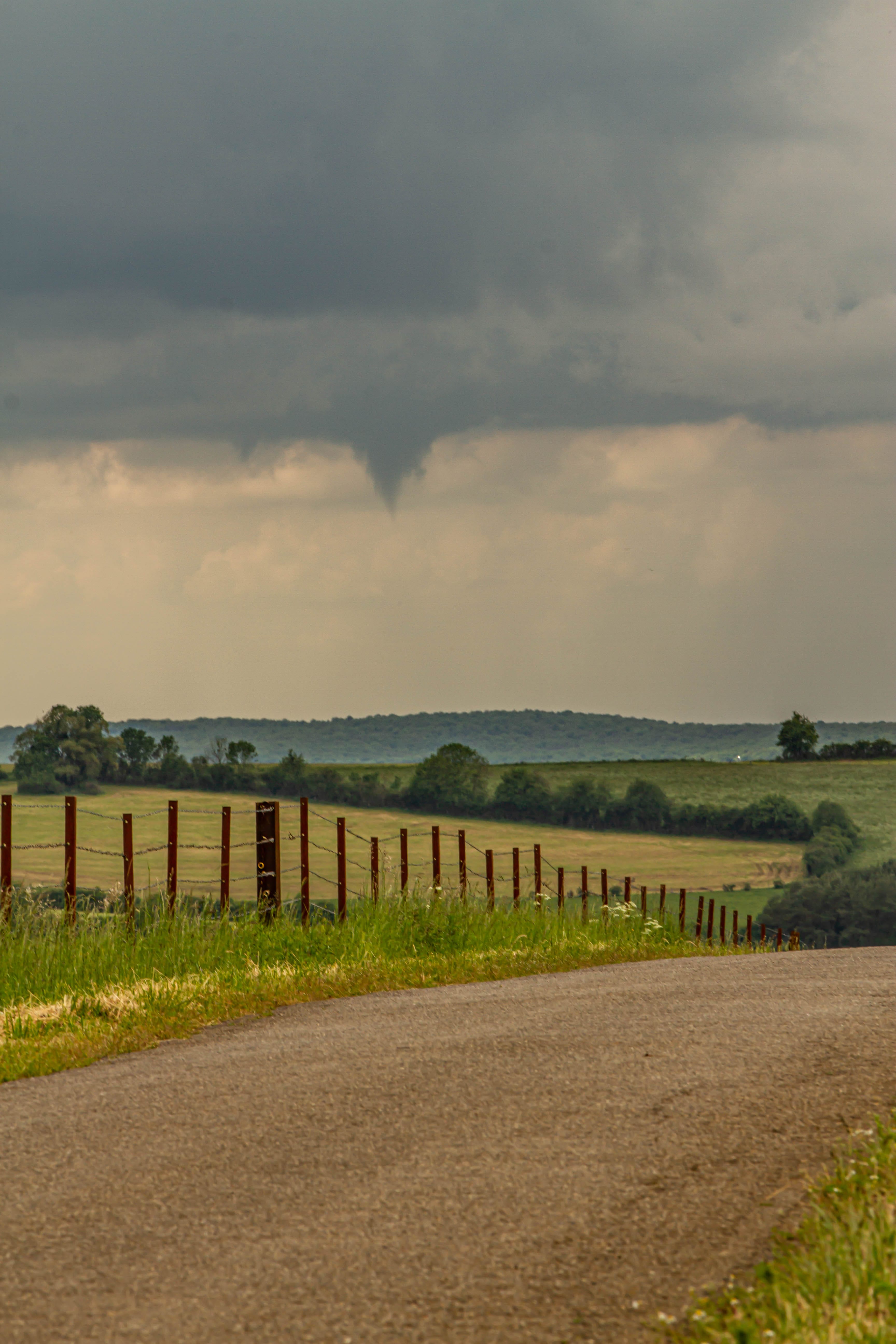 Tuba dans le Nord de la Meuse - 03/06/2021 16:18 - valentin severin