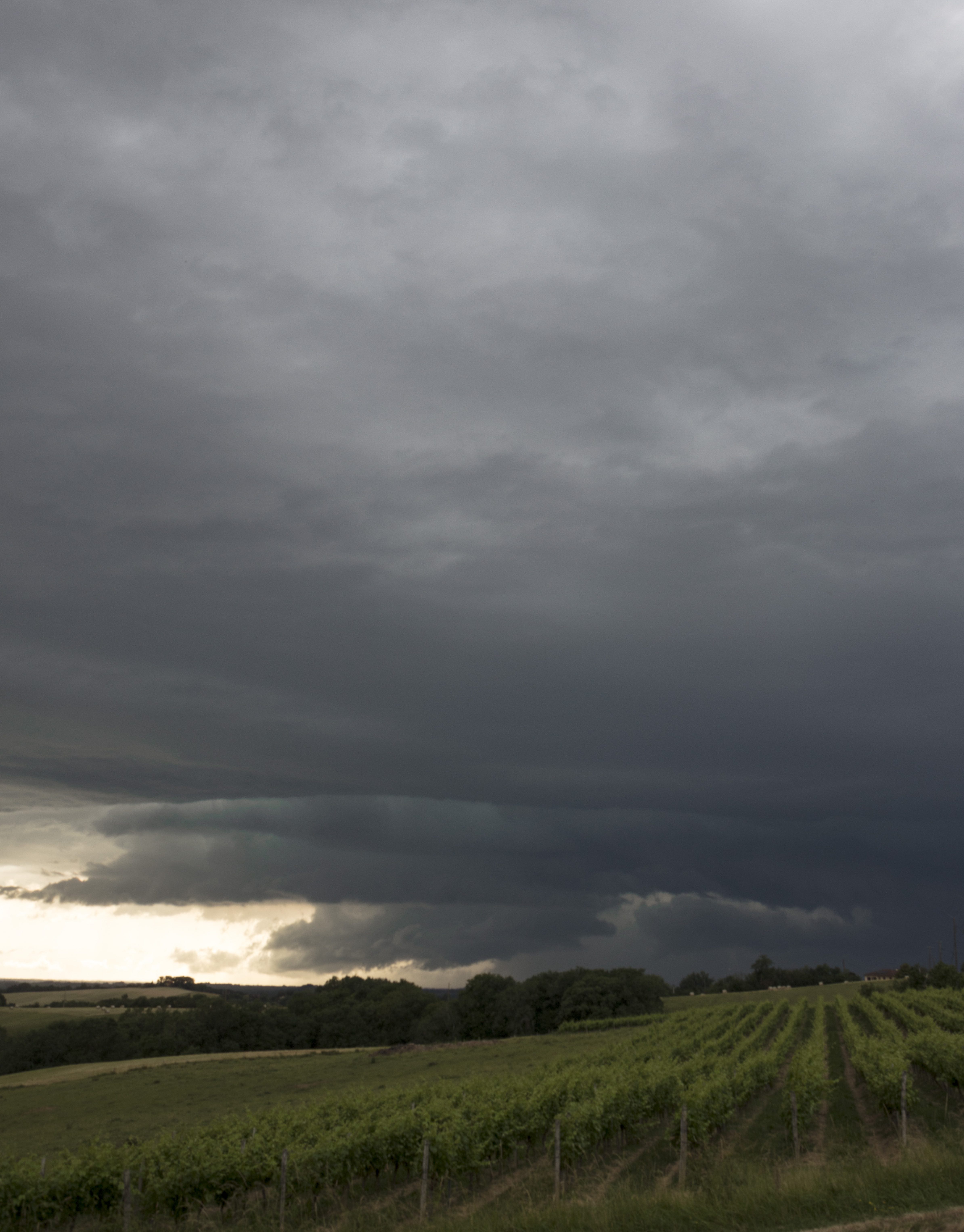 Orage supercellulaire très actif née à Dax et photographié du coté de Manciet (32) , nuage mur bien visible au premier plan - 03/06/2022 19:50 - Paul JULIEN