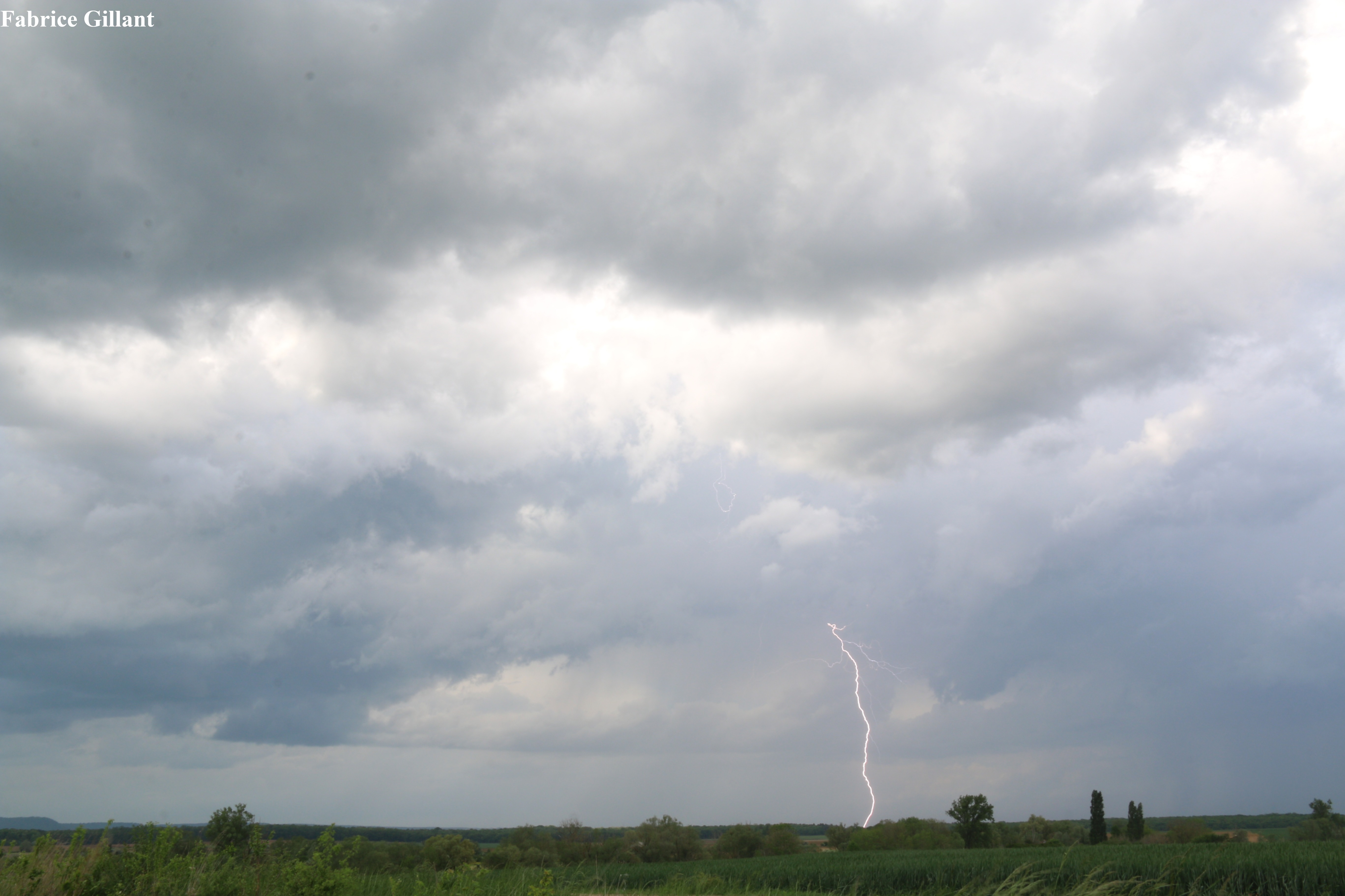 Une vague d'orages traverse la France ce week-end du samedi 03 mai 2025, mettant fin à l'épisode de temps estival débuté mardi passé. J’ai donc suivi l'évolution de ces orages qui auront abordé le département du nord de la Meuse depuis 15 heures. Et qui sur le début de la soirée un monstre et arrivée sur ma position d’observateur météo de terrain qui m'a permis de prendre avec ma nouvelle cellule de déclenchement foudre qui aura été efficace et ma première photo d’un impact aura été réalisée suivi d’autre inter-nuageux l’orage était impressionnant avec son arrivée massive ou la cellule de déclenchement d’orage aura fait fonctionner mon appareil à photo ou il aura déclenché 1680 photos que des lueurs au sein de l’orage qui le tonnerre était en continu dingue digne d’un orage USA et une fois qu’il aura survolée la zone ou je me suis planquée derrière un massif arbuste la grêle avec de gros moreau de diamètre de 2 à 3 cm sont tombé avec violence heureusement cela n’a pas durée puis suivi d’une violente rafale et accompagnée de pluie torrentielle et suivi de nouveau de grêle, mais de plus petit diamètre. Cet orage aura finalement été bref. Ces orages auront été plus violents du côté de la Meurthe-et-Moselle et de la Moselle avec plus de grêles de gros diamètre. Comme la photo de Grêle du côté d’Essey-et-Maizerais. Non loin de chez moi 
Photo via Julie V. Et aussi grosse grêle observée sur la côte de Delme (57). - 03/05/2025 19:30 - Gillant Fabrice