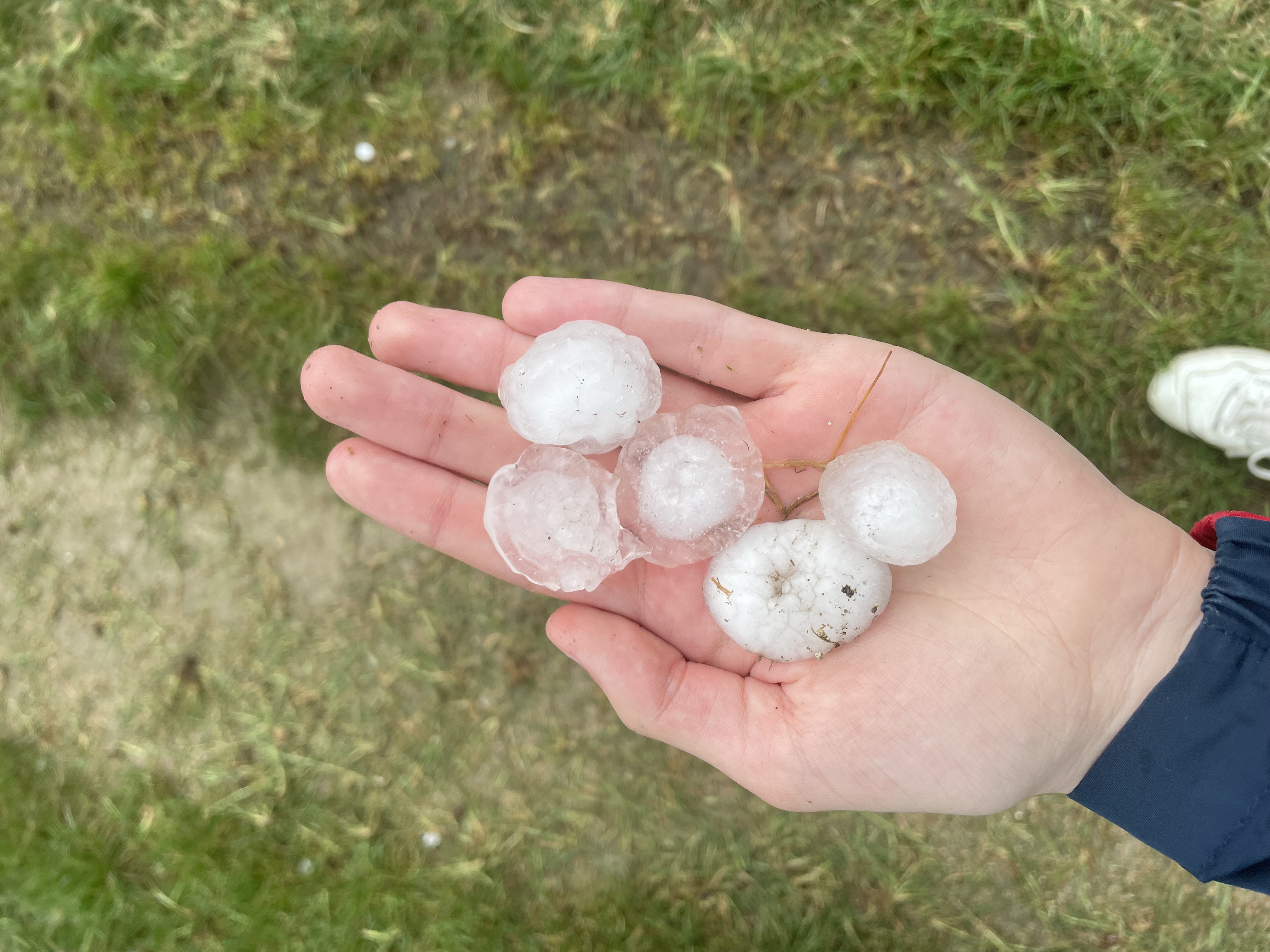 Gros grêlons mesurant jusqu’à 4 cm de diamètre, après le passage de la supercellule sur le secteur de Châlons-en-Champagne. Photo prise sur la commune de Matougues précisément. - 03/05/2025 18:03 - Jules Creteur