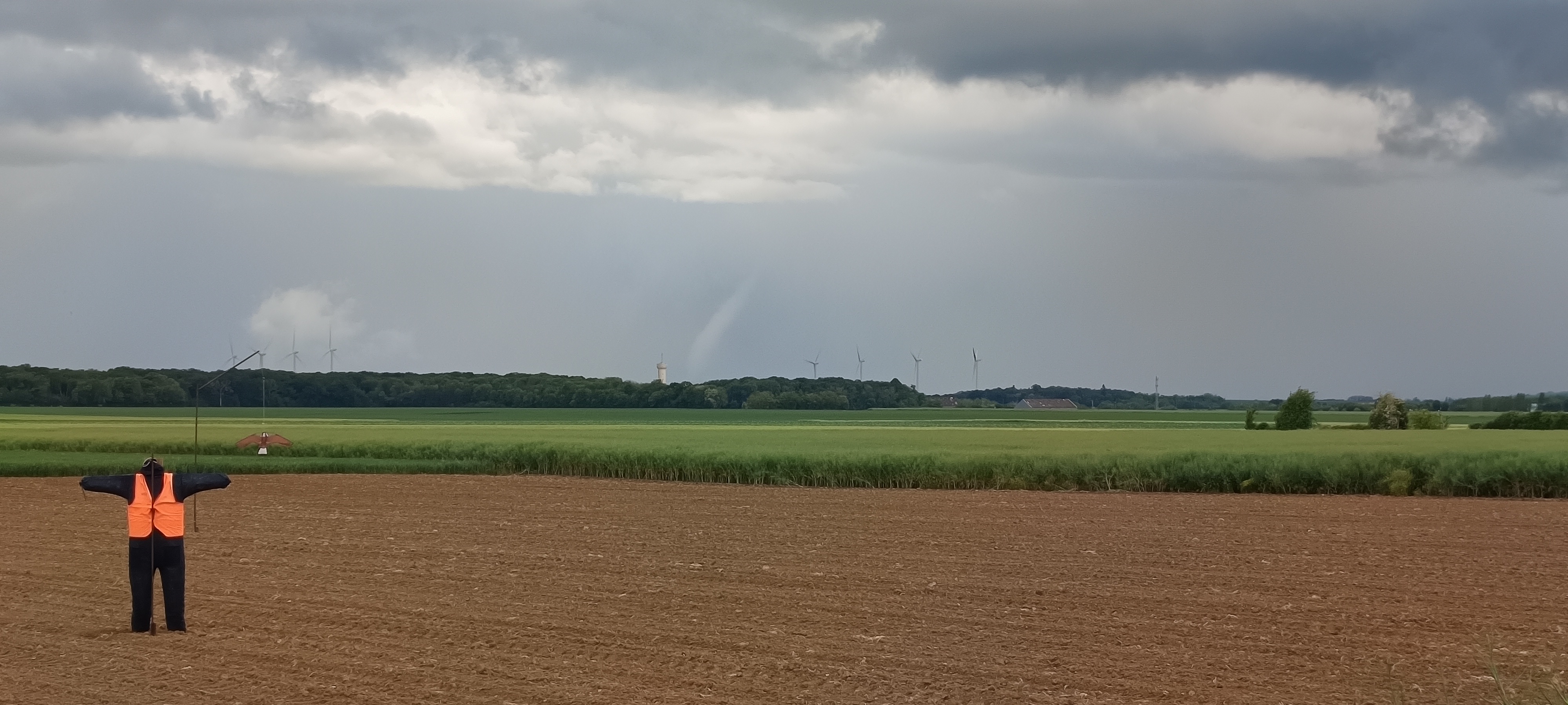 Formation suspecte (qui ressemble à une tornade ? ...) observée sous l'orage qui est passer au-dessus de la ville de Caen le dimanche 3 mai 2026 vers 18h30. Elle a ensuite été cachée par les précipitations.
[photo prise depuis le village d'Escures sur Favières] - 03/05/2026 18:30 - Eugène Lissot