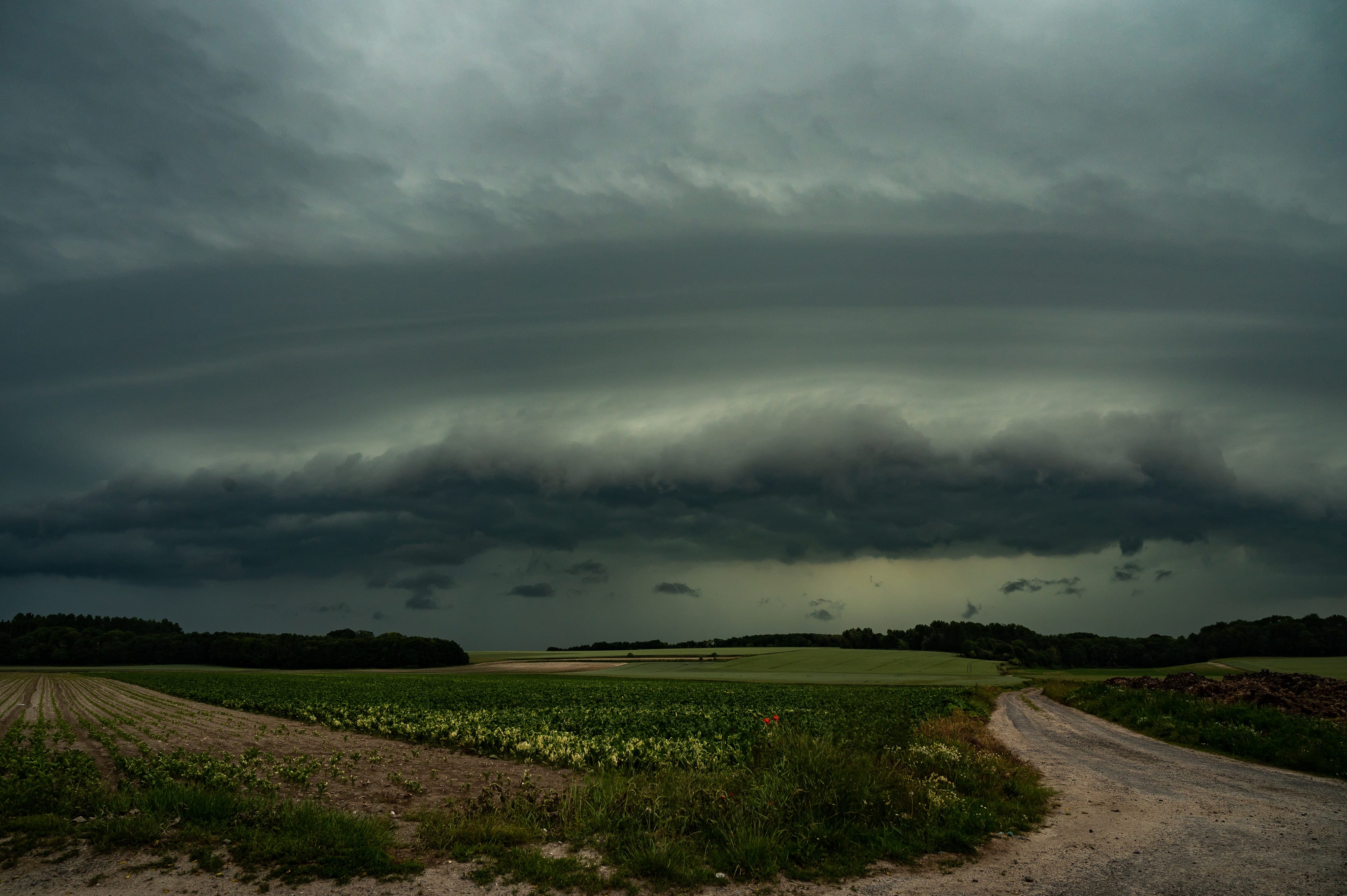 Arcus à Sailly-en-Ostrevent (62) le soir du 4 juin 2022. - 04/06/2022 21:20 - Pierrick CAGNON