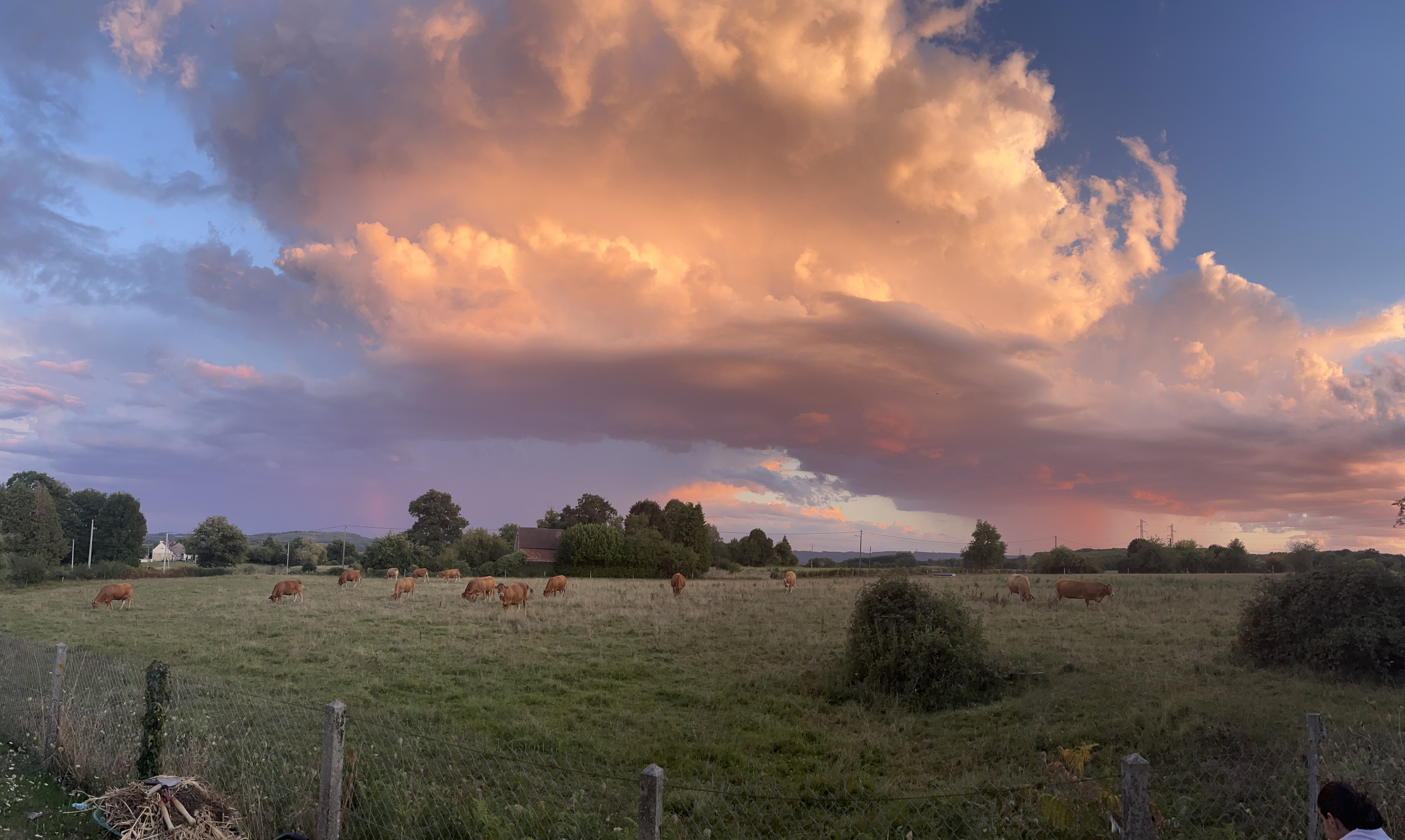 Orage - 04/09/2022 20:27 - Angelique Chambraud