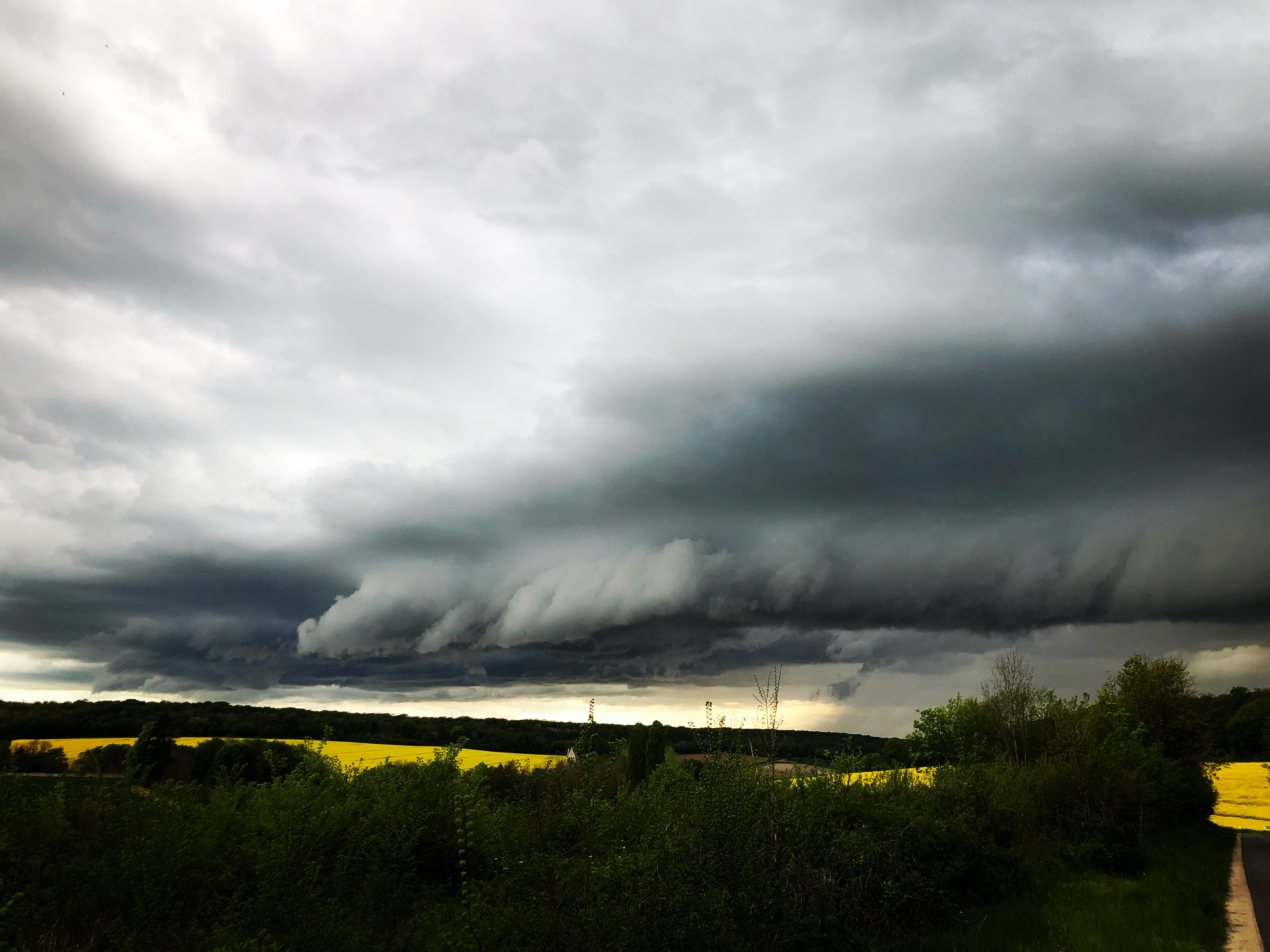 Arcus - 05/05/2023 19:35 - Marie Forget