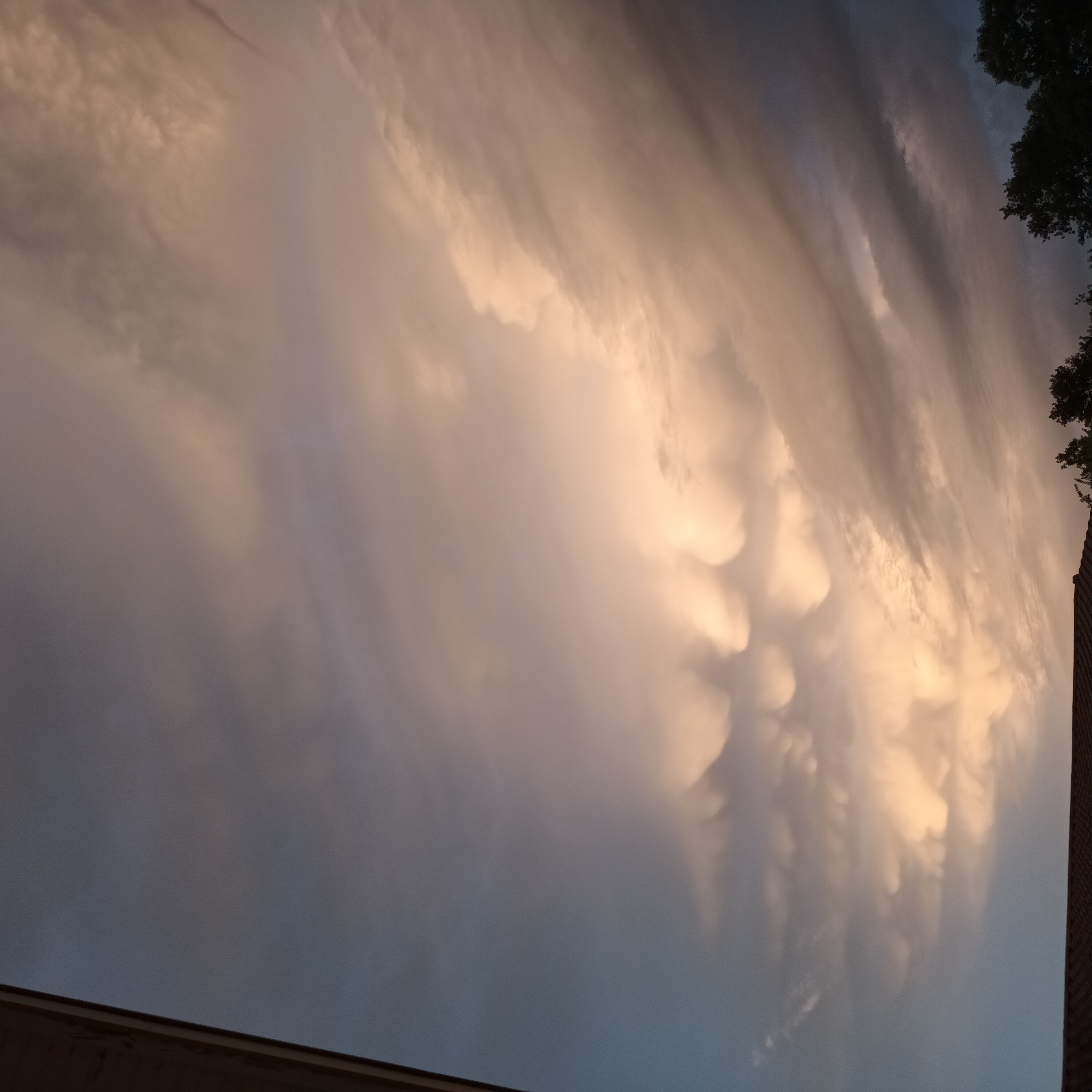 Mammatus en formation sur Landiras - 08/08/2026 21:14 - Benoist Saillard