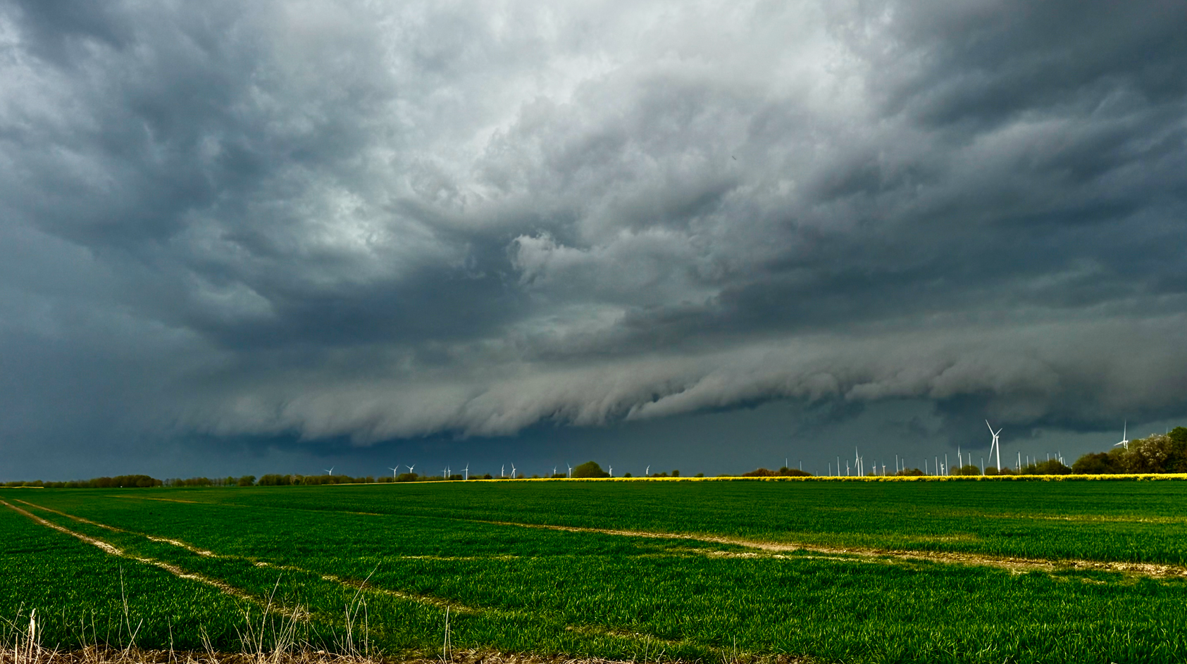 Interception du système orageux multi/supercellulaire intense au nord du pays hier lundi 8 avril en fin de journée. Sur l'image, l'arcus venait tout juste de commencer à se former. Une partie du nuage-mur d'une supercellule intégrée dans la ligne est visible sur la droite de l'image. Photo prise aux alentours de Croixrault (80), à 19H48. - 08/04/2024 19:48 - Louka BURJES