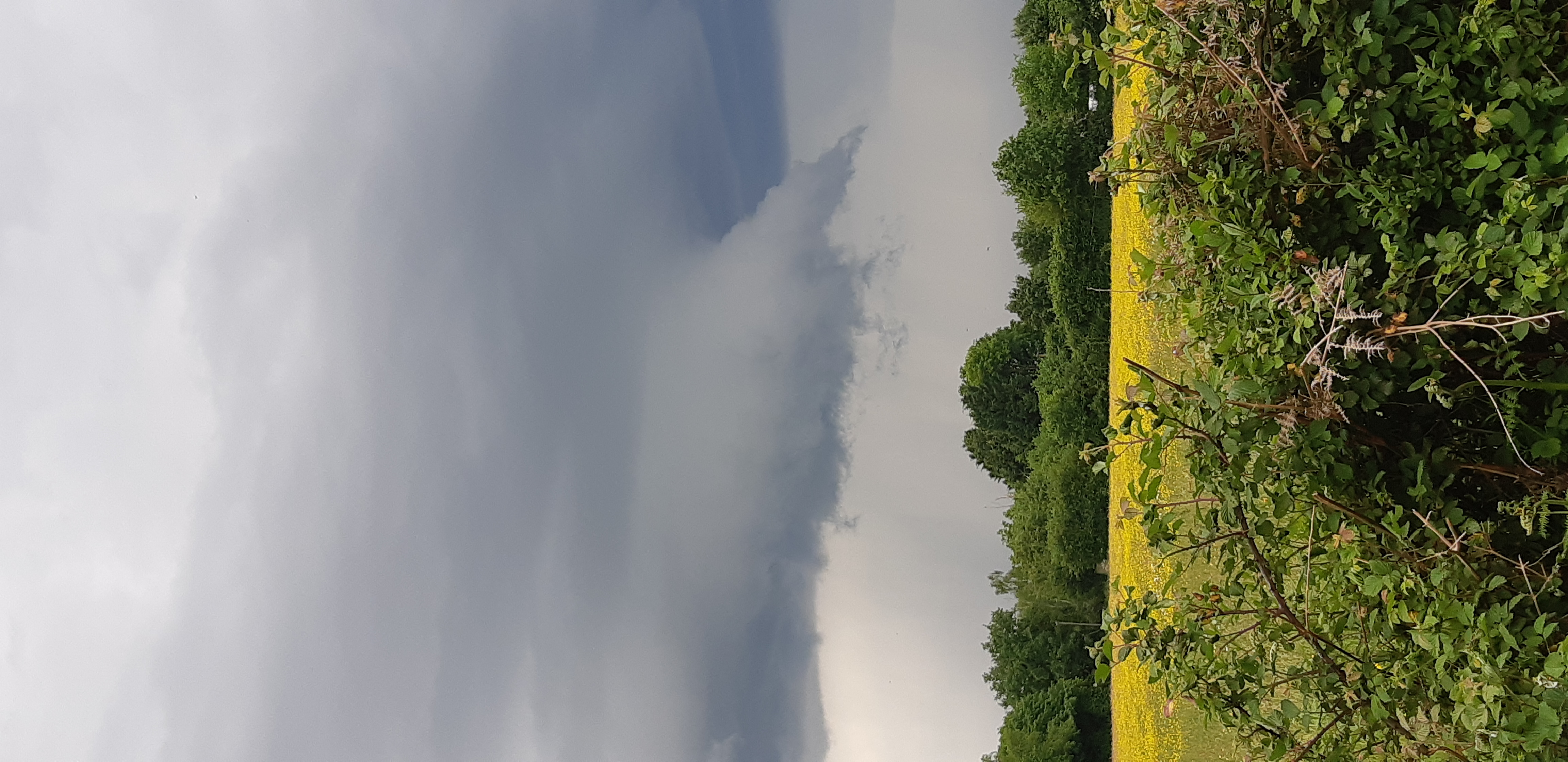 Observation étrange d'un nuage durant un orage qui grossissait et descendait vers le sol - 10/05/2025 18:23 - Lucas Hay
