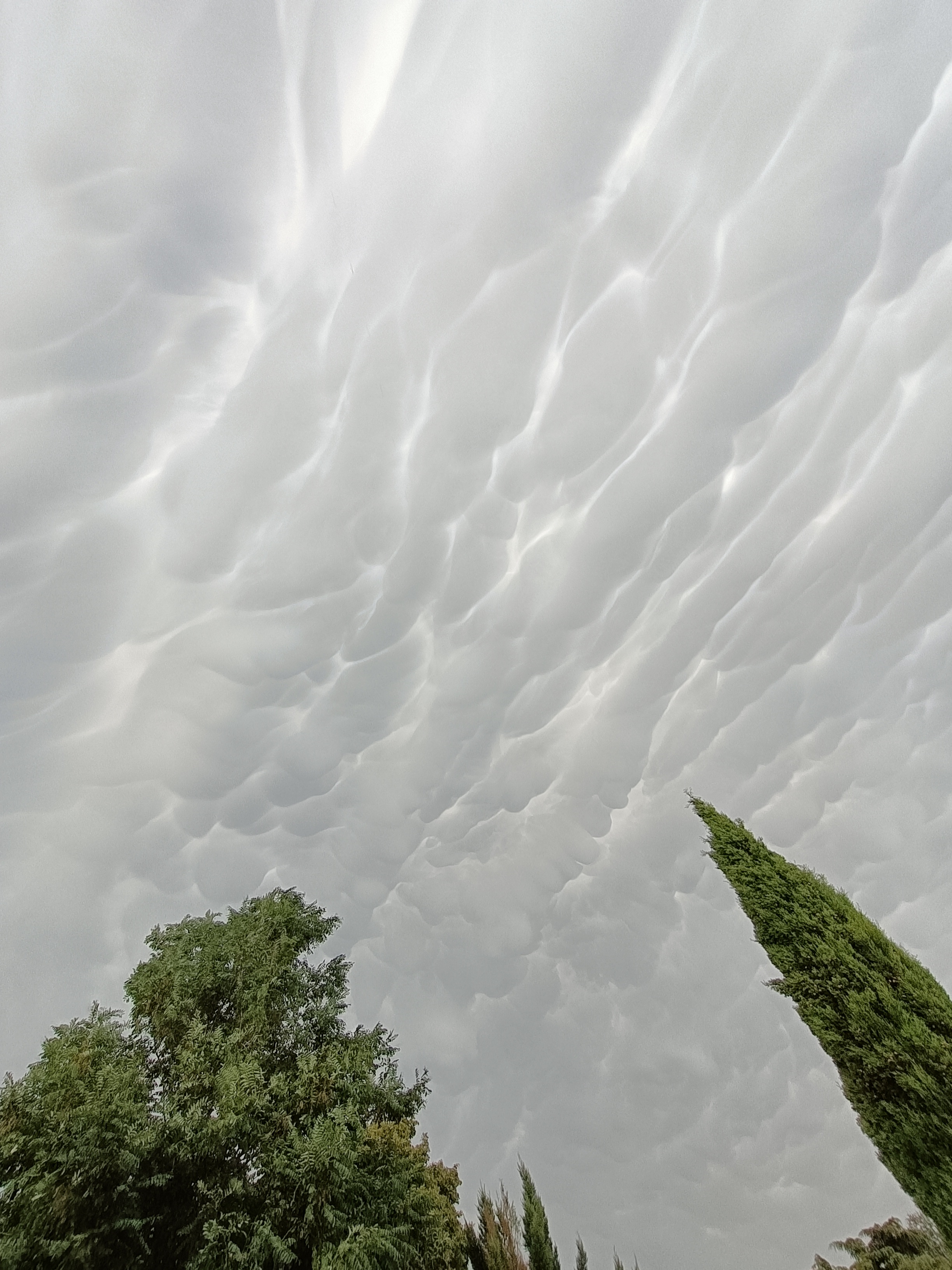 Vue des mammatus sous l'orage frappant le nord du Rhône - 11/07/2023 18:45 - Laurent Fallourd
