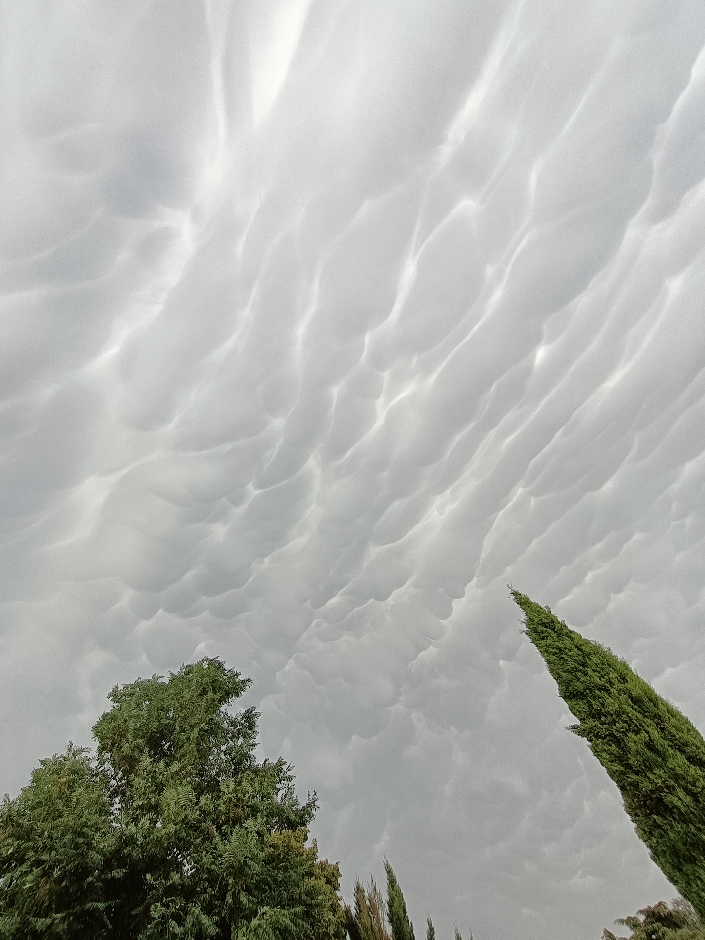 Vue des mammatus sous l'orage frappant le nord du Rhône - 11/07/2023 18:45 - Laurent Fallourd