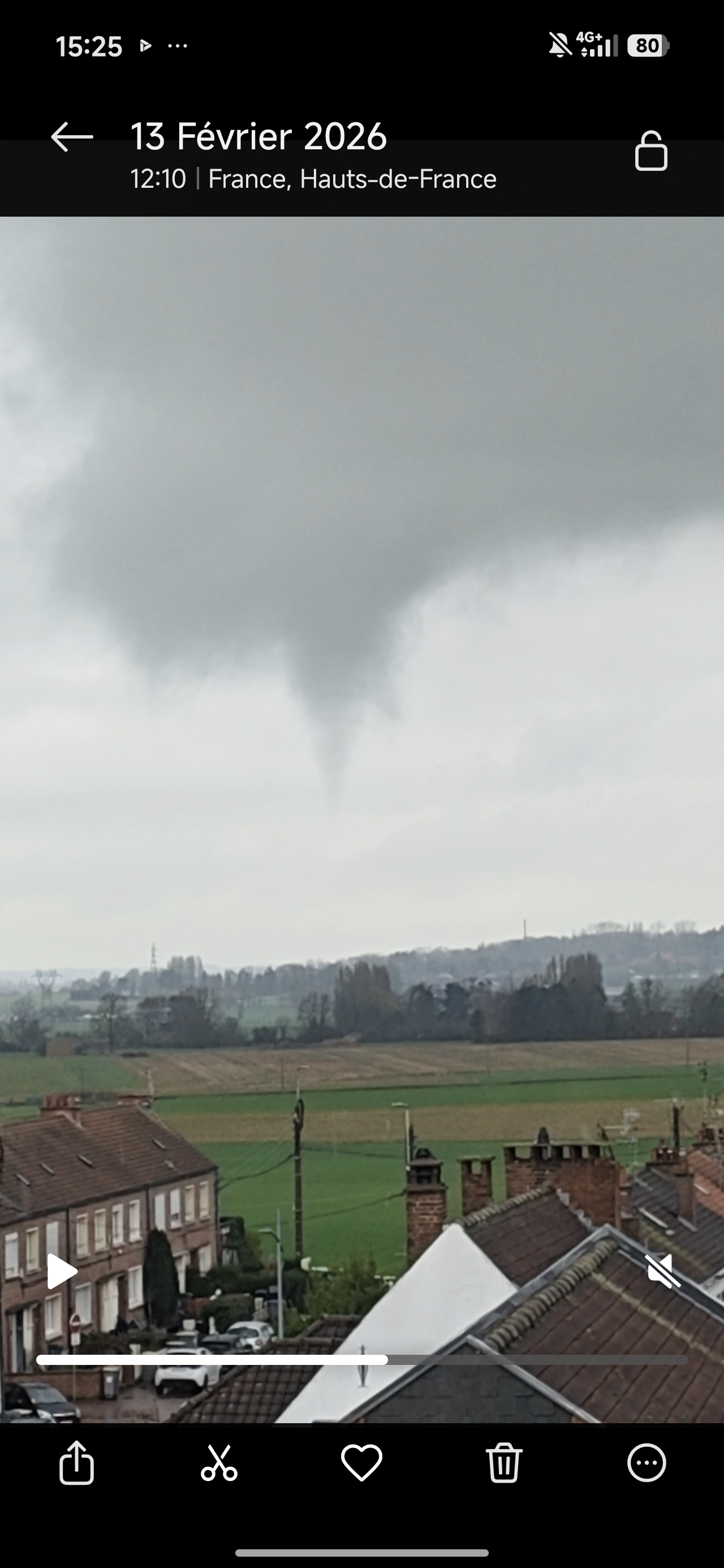 Tuba observé, haut de France, Linselles, vendredi 13 février, 12h. - 13/02/2026 12:00 - Florian Degrandsart