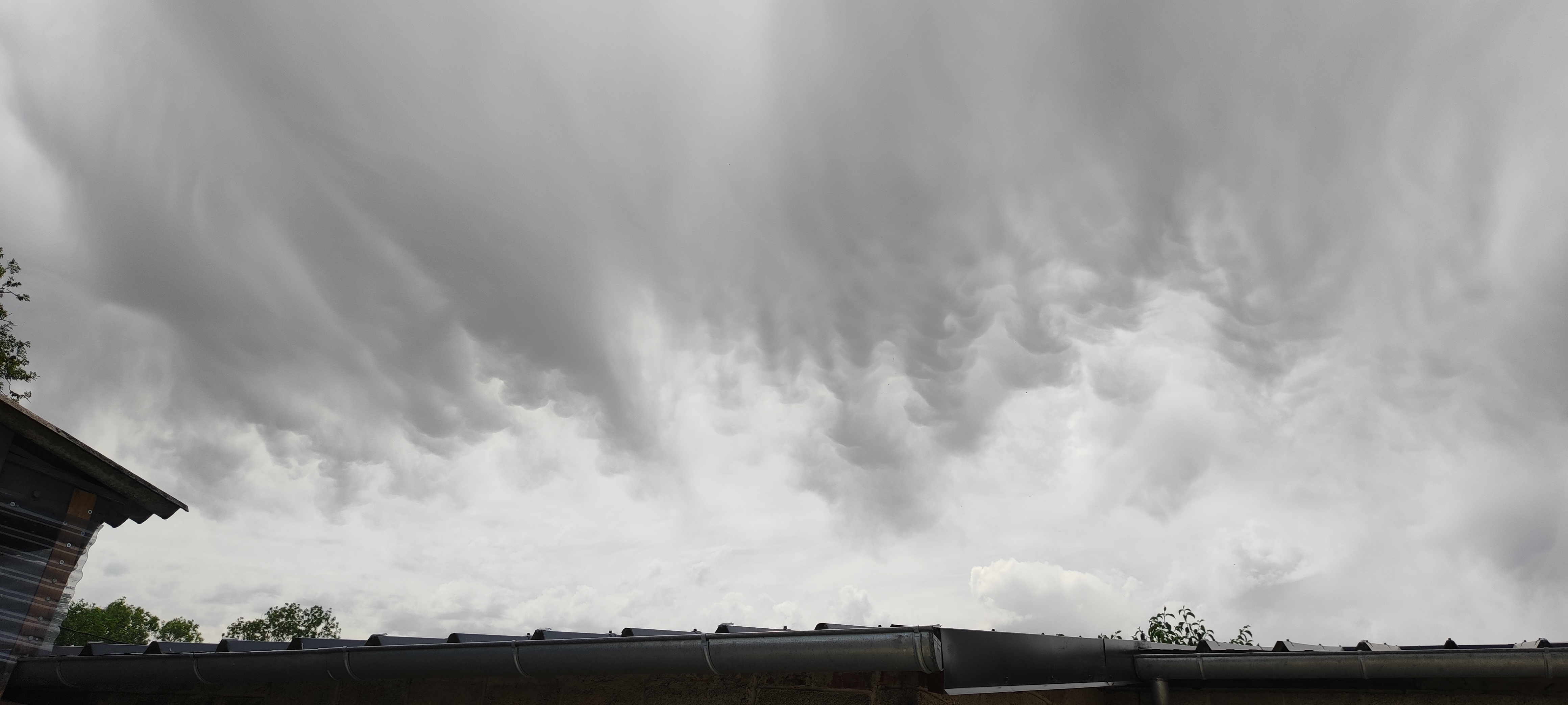 Mamatus Albert 80 Somme Picardie - 13/07/2026 13:00 - Didier Delahaye