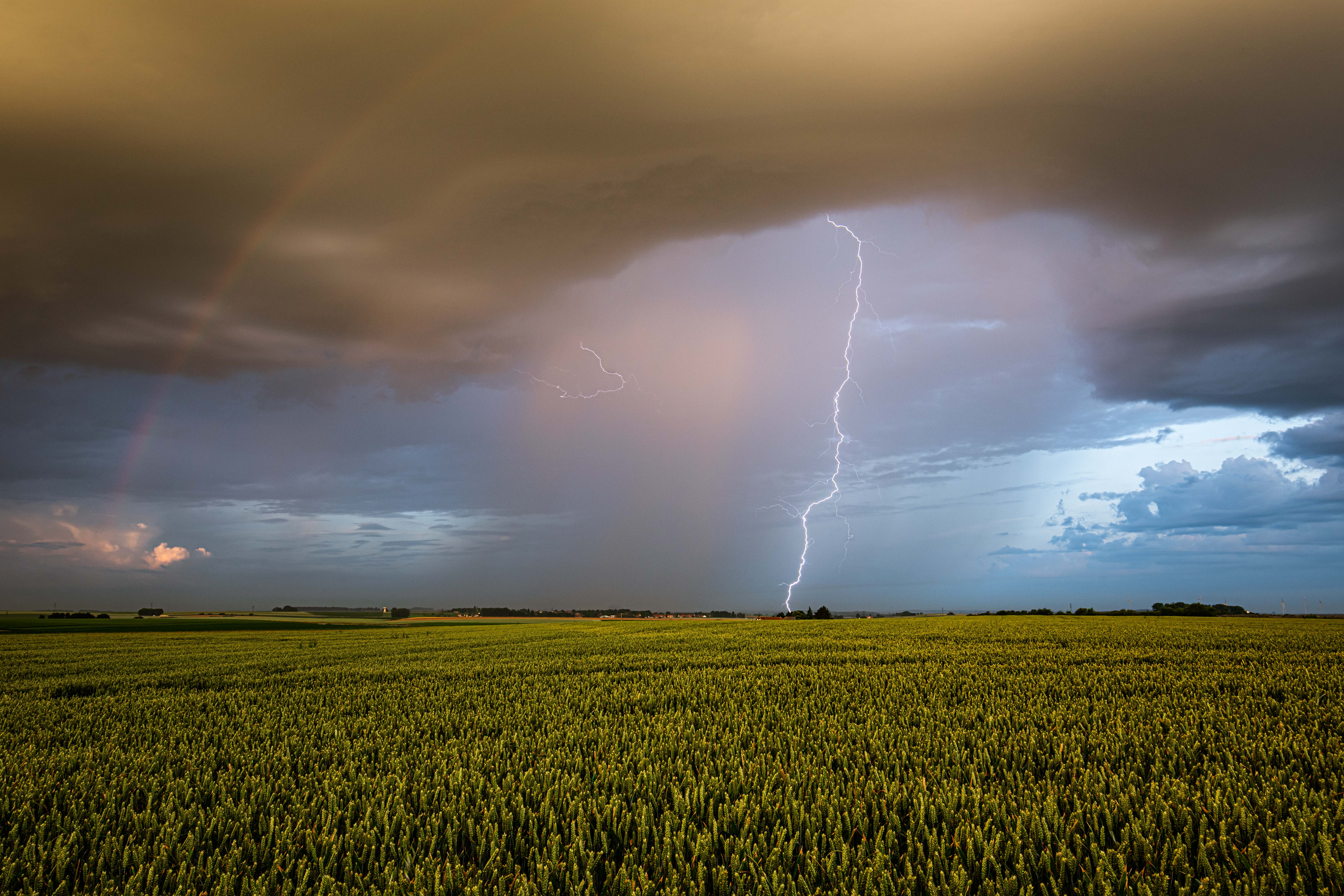 Superbe coup de foudre aux lumières du soleil levant sous une petite cellule faiblarde mais particulièrement esthétique près de Cambrai (59). Ce fut la seule et unique décharge électrique visible sous cet orage qui n'a duré qu'une dizaine de minutes. Quelle scène extraordinaire avec ces couleurs, le début d'arc en ciel, le ciel clair en arrière plan et ce sublime impact ramifié qui sort à l'avant du rideau de pluie pour venir sublimer ce tableau incroyable ! - 13/06/2025 05:57 - Jules Creteur