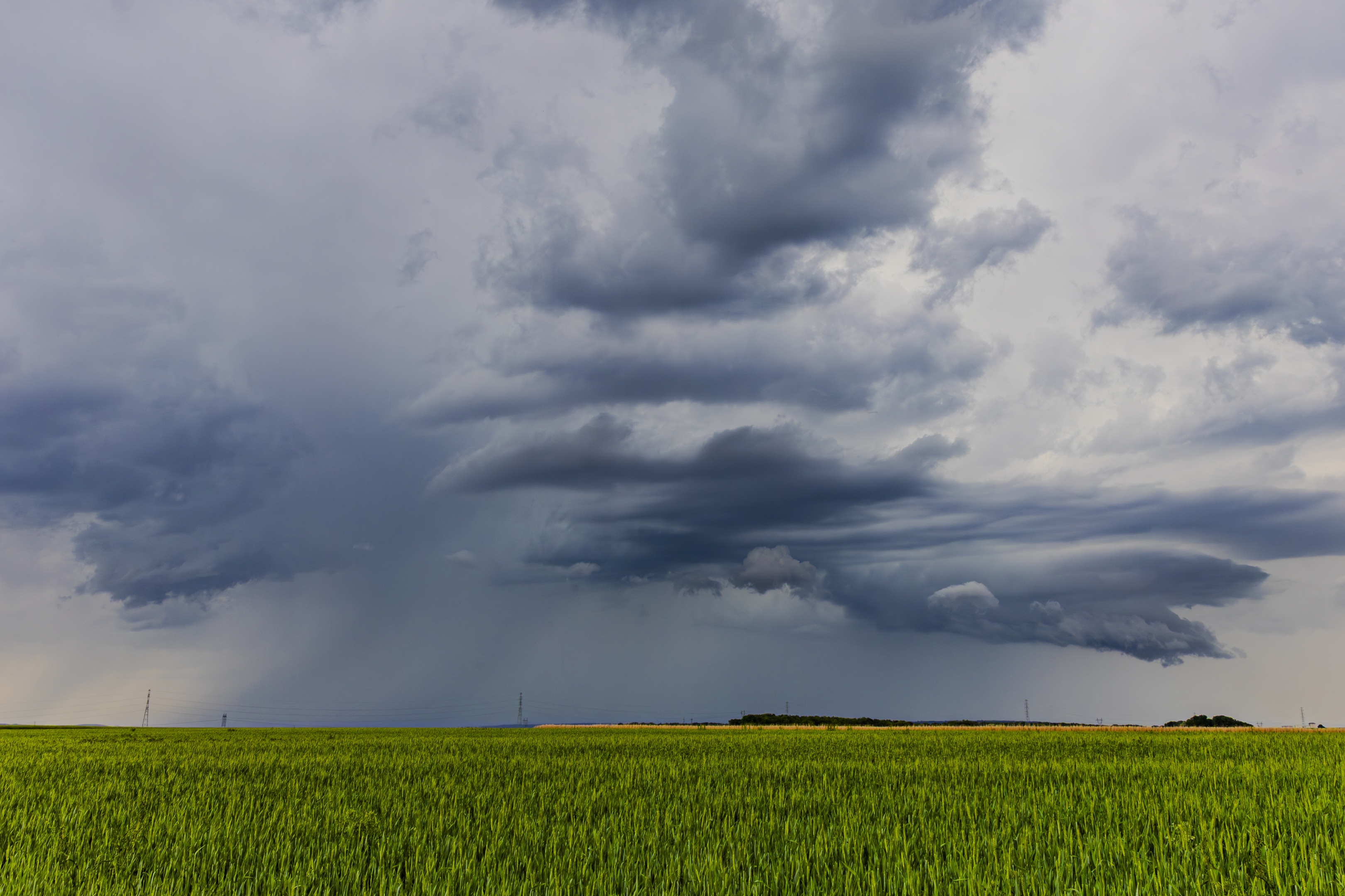 Une cellule orageuse en fin de vie est tranchée par une violente colonne d'air froid descendante. Il en résulte un beau front de rafale à l'avant de l'orage. - 13/05/2025 16:18 - Joey Salzmann