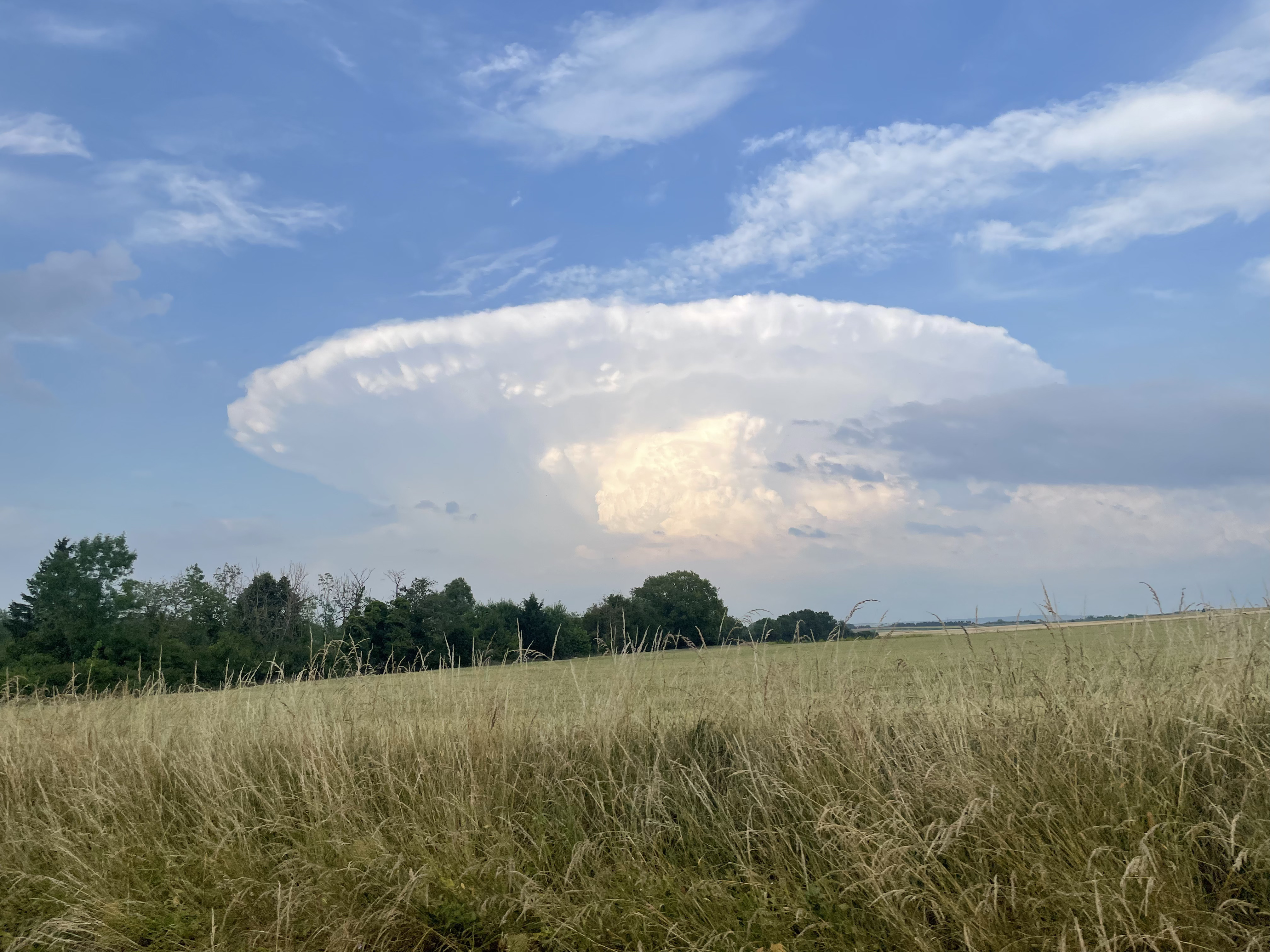 Photo de la cellule des Ardennes (avant son split?) prise proche de Reims (51100) - 14/06/2025 19:48 - William Carcenac