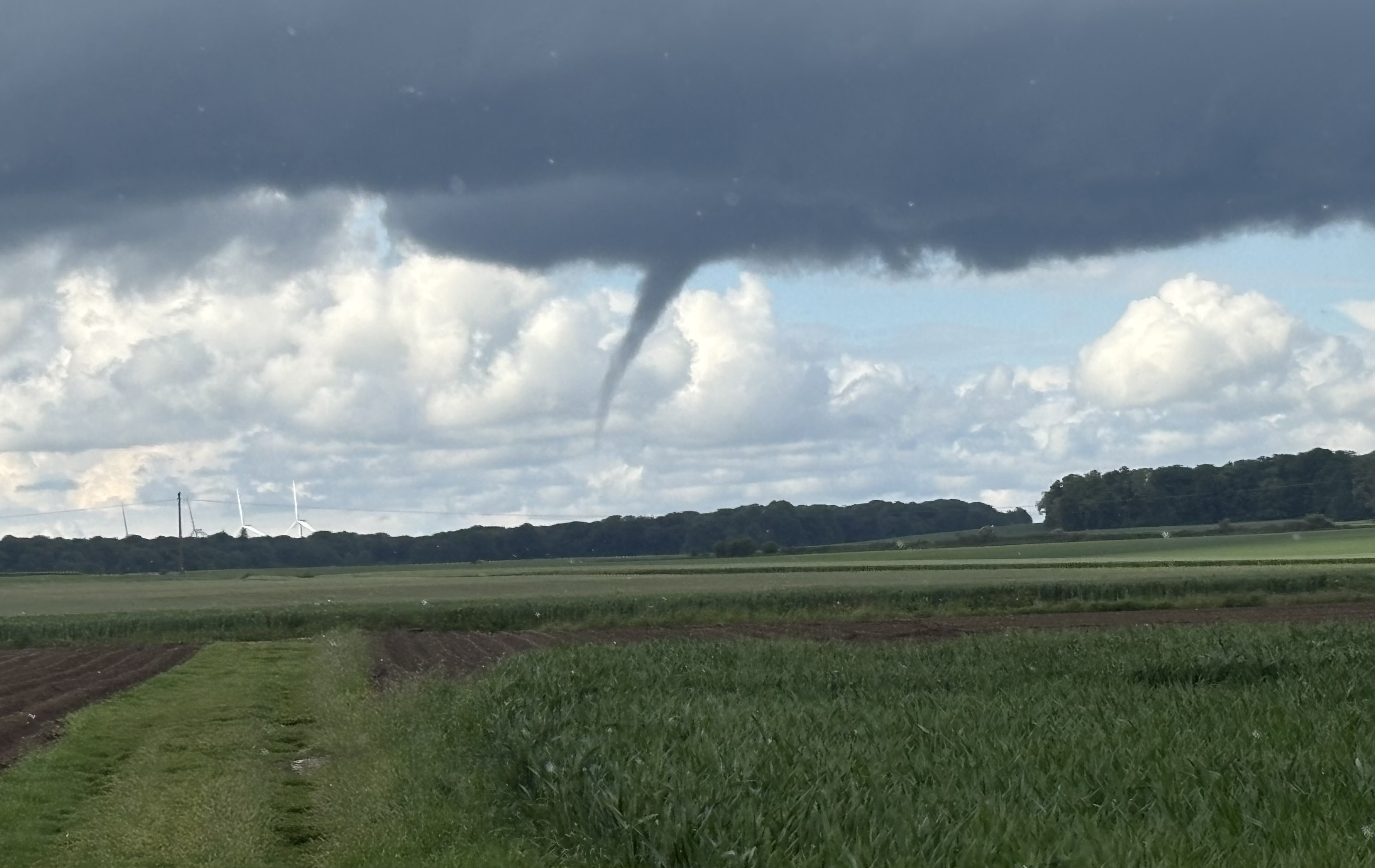 Tuba bien développé secteur Bailleul-le-Soc - 14/05/2026 18:00 - Radosch Thibault
