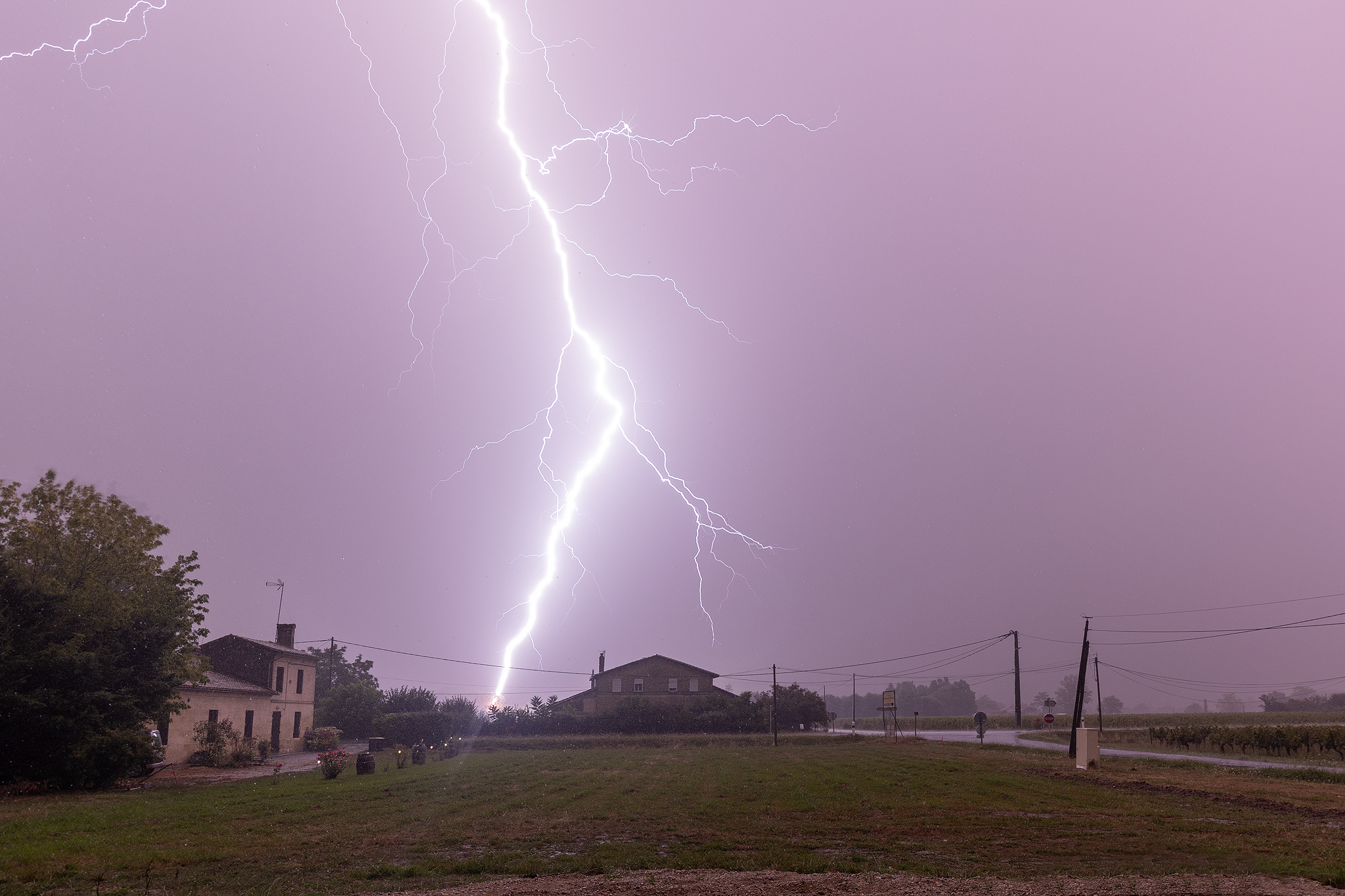 Orage du 15 Aout en Gironde, arbre foudroyé - 15/08/2023 03:05 - christophe correy