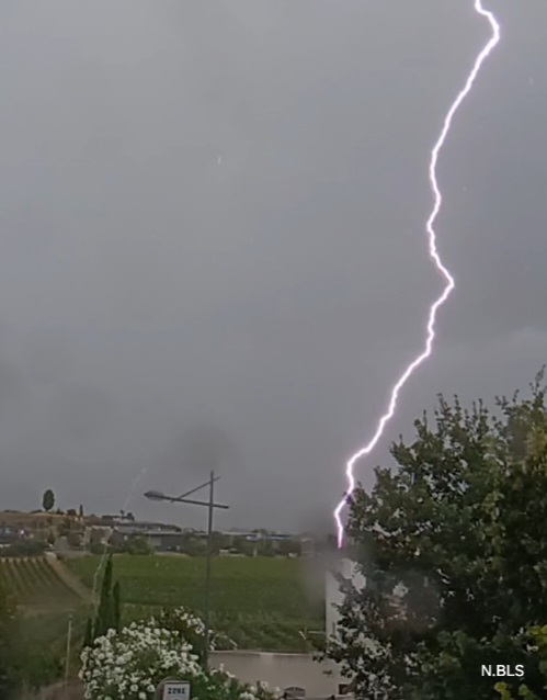 Foudre sur un orage le 15 août 2024. Commune de saint aunes 34130 Hérault. Nous constatons partiellement l'amorce sortant du petit cyprès a la gauche. - 15/08/2024 15:00 - Nicolas Belles