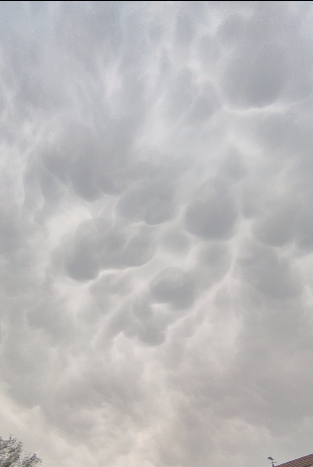 Mammatus en Haute Savoie - 15/08/2025 18:05 - Alexandre Ceccon