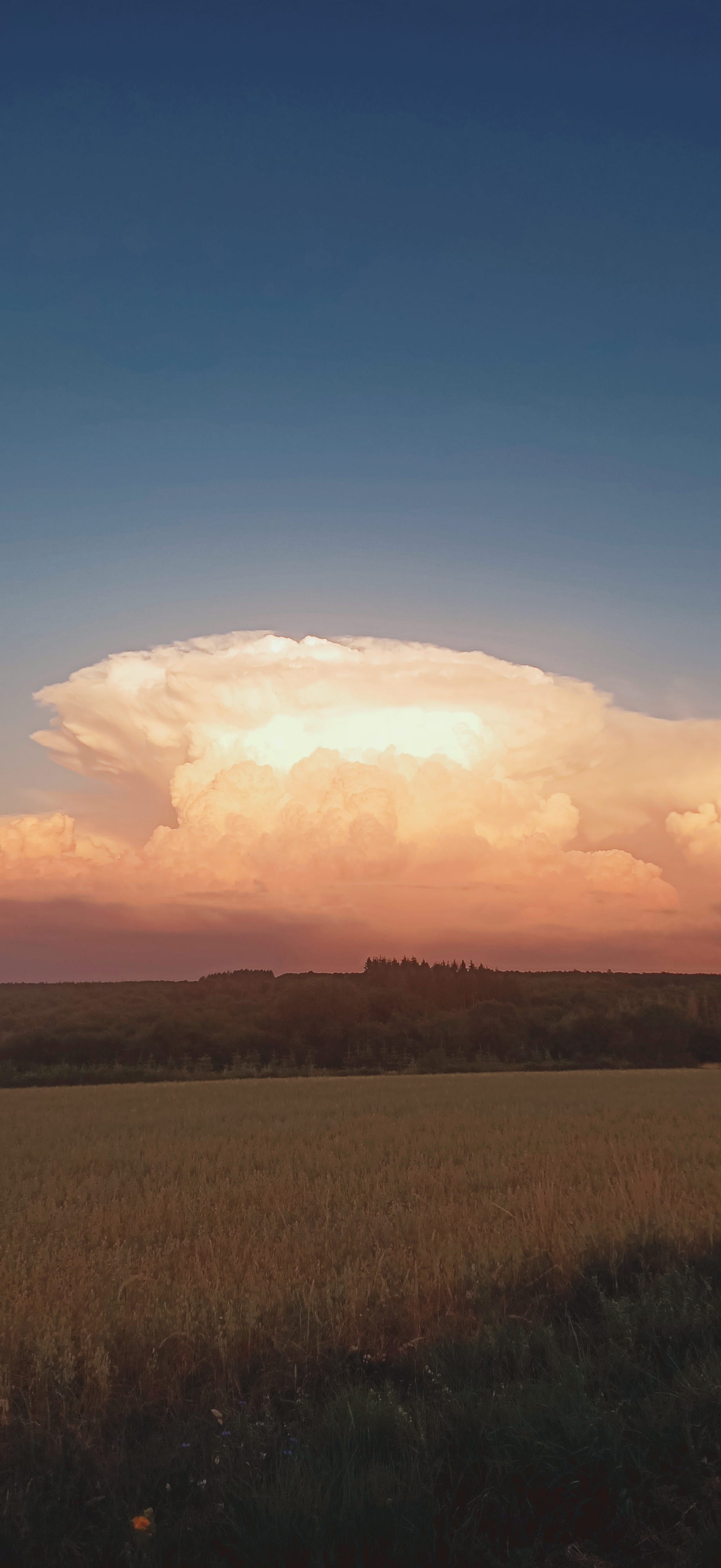 Cumulonimbus vu depuis Laroche en Brenil en direction de l'est. - 15/06/2022 21:30 - Stéphane Wouters