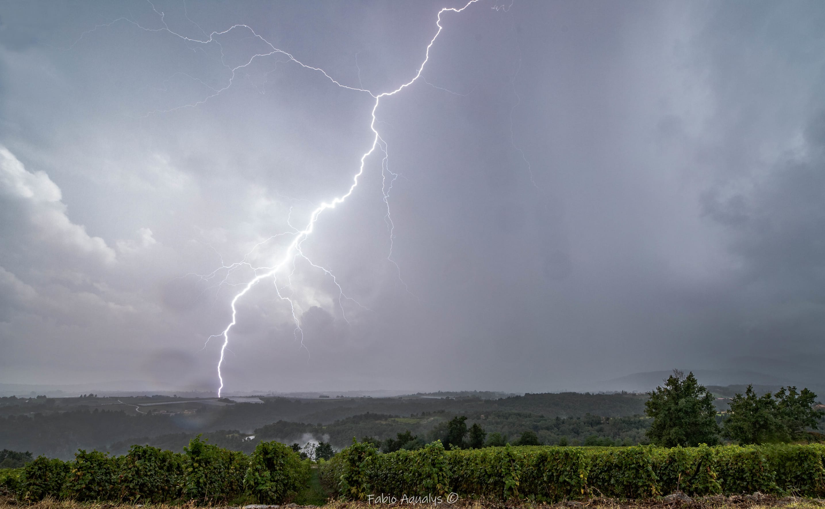 Bombardement d'impacts proches/très proches sur un orage très peu mobile sur le Pélussinois, l'orage a lâché 31mm de précipitations sur 1h. 
Des conditions difficiles pour de la photo mais j'arrive tout de même à sortir ce beau impact de foudre puissant ! 

Hier les orages on été quasi inchassables malgré de beaux impacts proches et de beaux inter-nuageux, et 50mm de pluie sont tombées. - 16/09/2021 16:30 - Fabio Aqualys