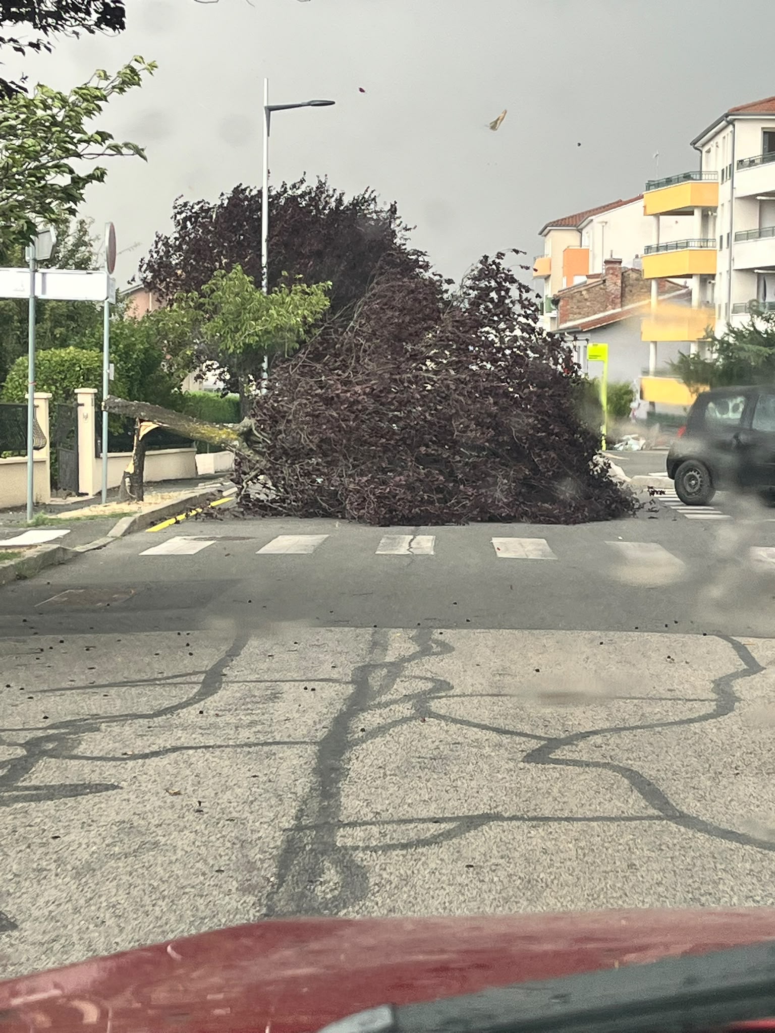 Chute d'un arbre devant mon vehicule sous la probable tornade autour de Saint Etienne
26 rue de l'arsenal, 42390 Villars 
Phénomène tourbillonnant sur le parking au 20 rue de l'arsenal à 17h53
Chute de l'arbre au 26 juste devant mon vehicule à 17h54 - 18/07/2026 17:54 - Etienne Simouneau