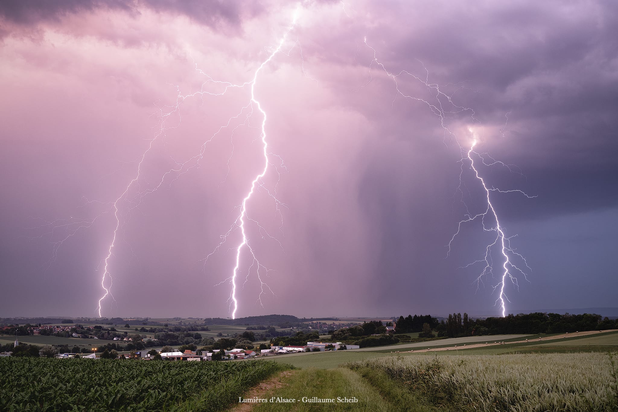 Activité orageuse hautement esthétique au coucher du soleil en Alsace du nord. Superbe lumière crépusculaire ponctuée de plusieurs coups de foudre ramifiés - 18/06/2021 21:45 - Guillaume Scheib