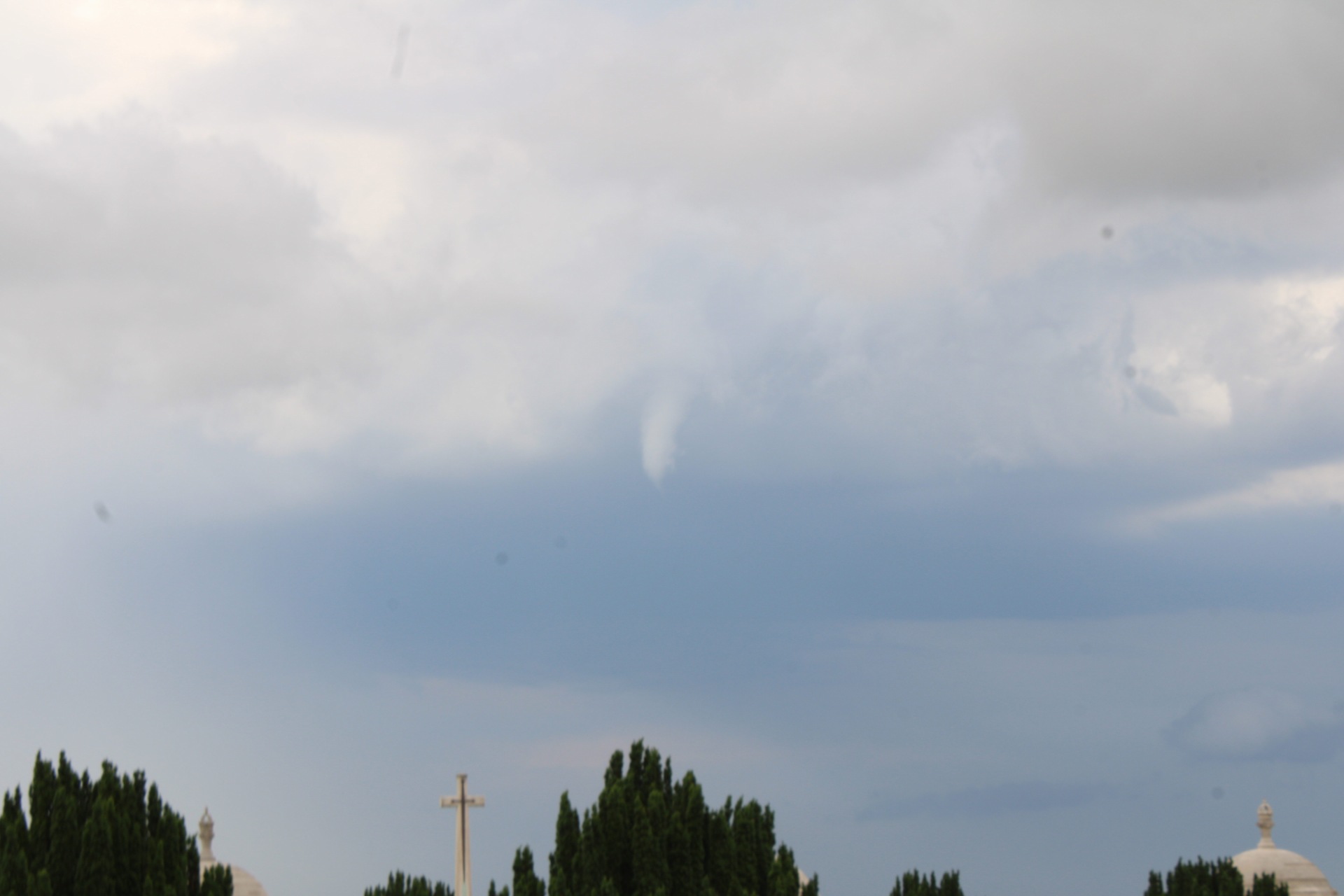 Petit tuba observer en fin d'après midi a l'arrière d'une cellule à Loos-en-gohelle - 18/06/2026 19:15 - matthis Parisseaux