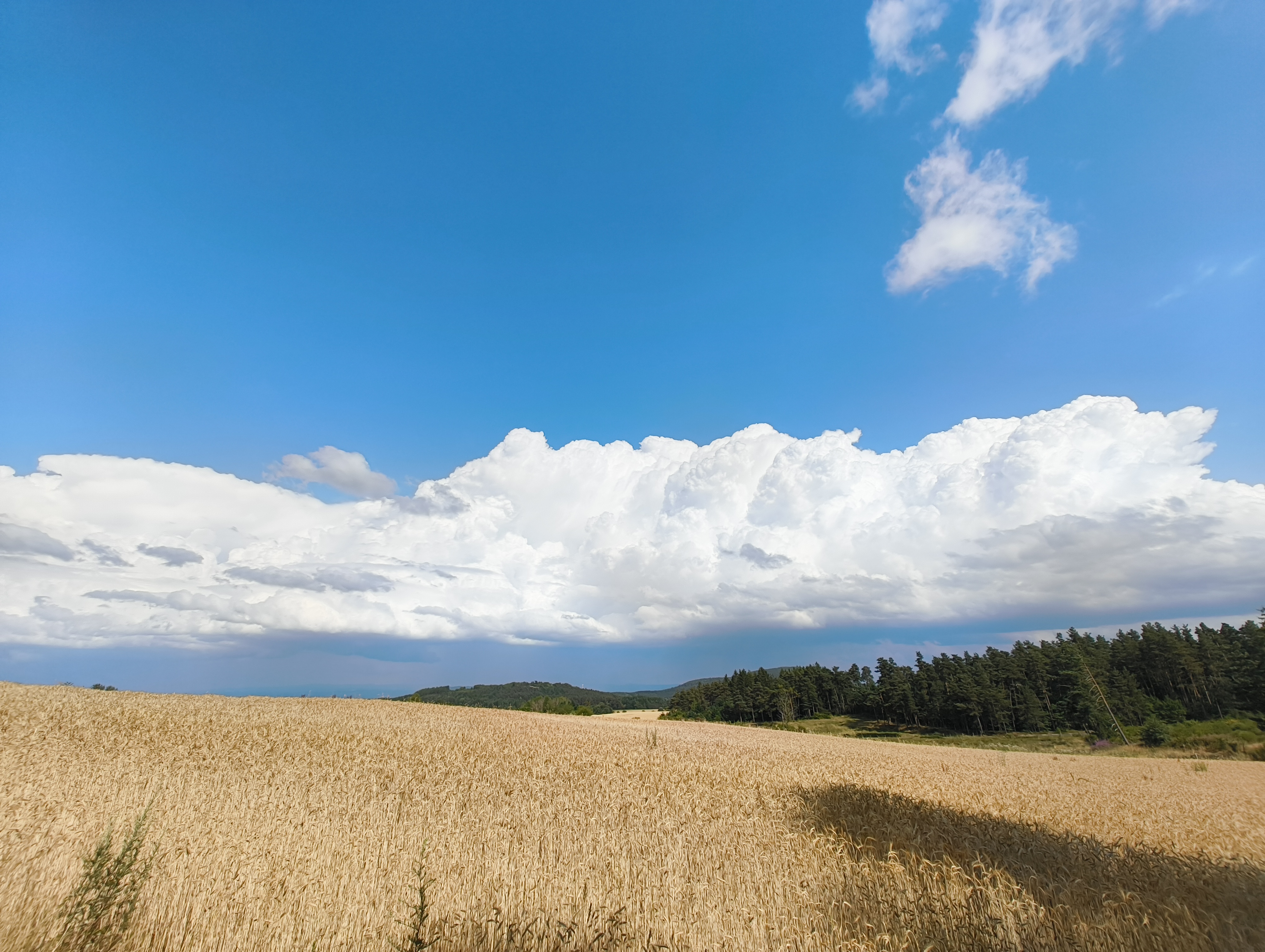 Prise de vue de l'orage (multicellulaire ?) de cet après midi le 19 juillet, sur les hauteurs de Roche-en-regnier, au dessus de Retournac. Orage s'étant formé au dessus du Puy en Velay, s'étant déplacer sur Yssingeaux pour finir dans la vallée du Rhône. - 19/07/2025 17:05 - Tommy CELLIER