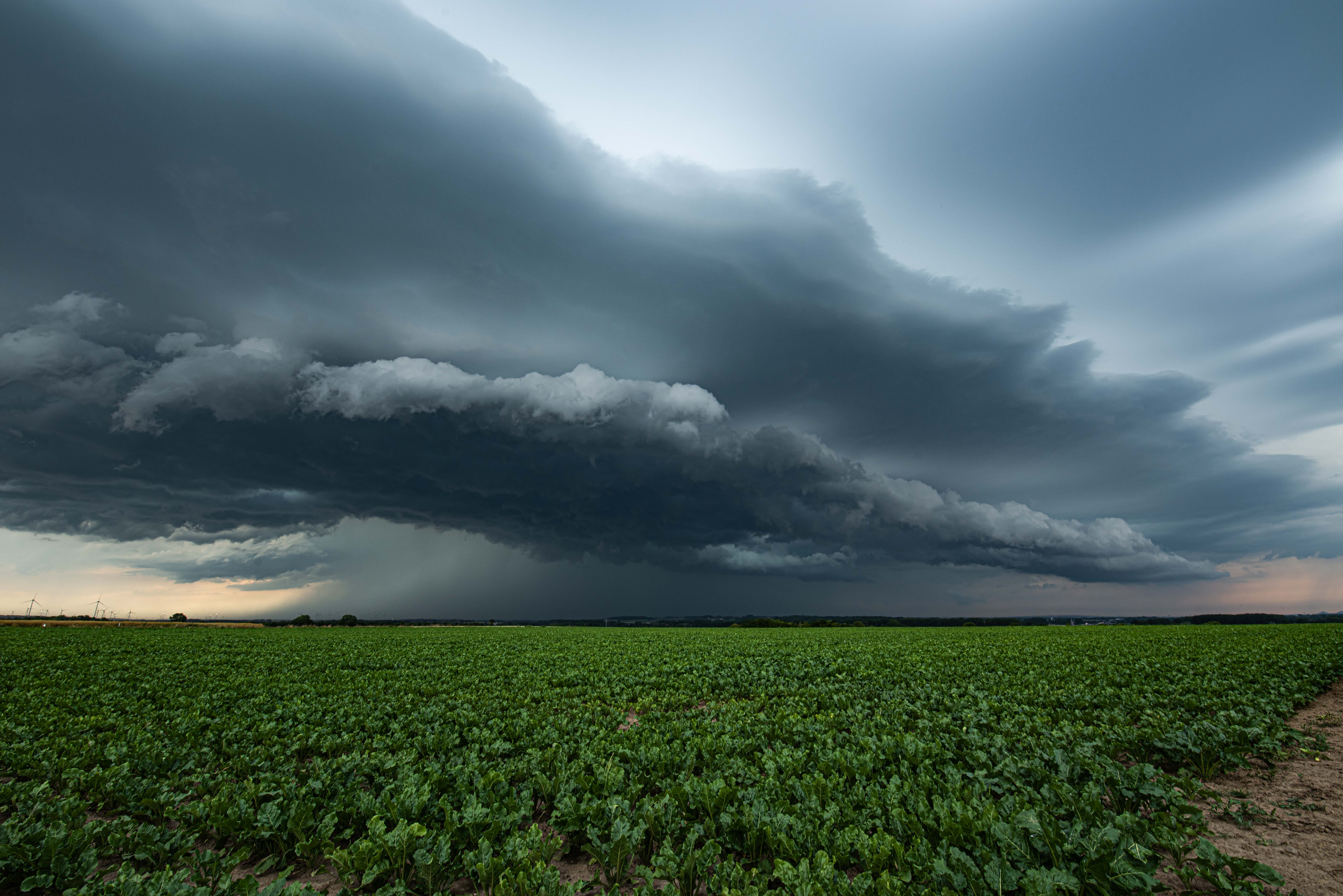 Arrivée d'un puissant MCS sur le secteur d'Arras avec une structure imposante, producteur de fortes rafales de vent et de grêle. Photo prise à Lécluse (59) - 19/06/2026 18:26 - Jules Creteur