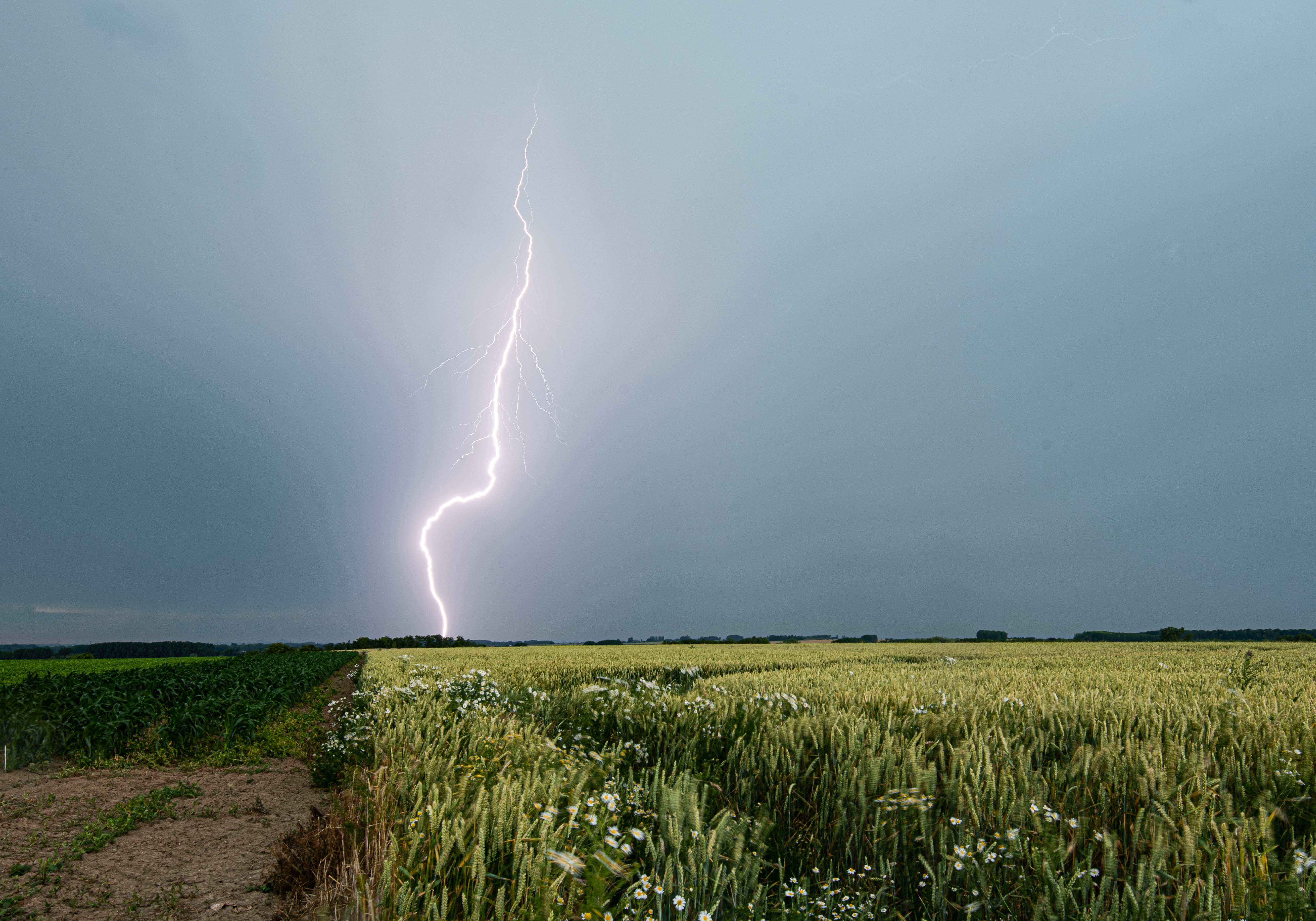 Foudroiement intense à l'arrière du MCS lors de son évacuation entre Lens et Douai, avec une fréquence impressionnante d'un coup de foudre toutes les 15 secondes environ. - 19/06/2026 19:00 - Jules Creteur