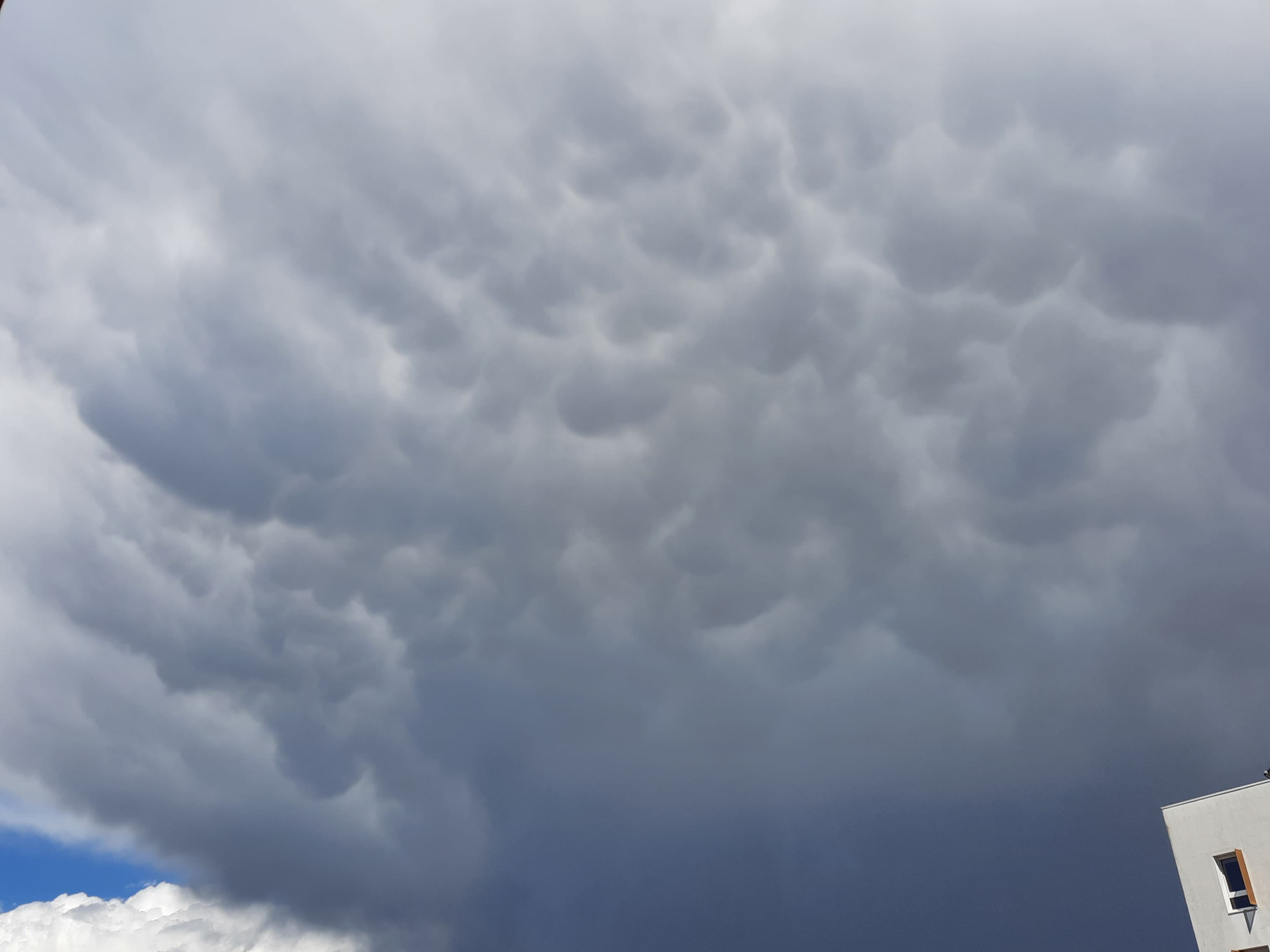 Mamatus splendides après une forte averse sur Valence - 19/05/2021 16:00 - Kilian SPUNTON