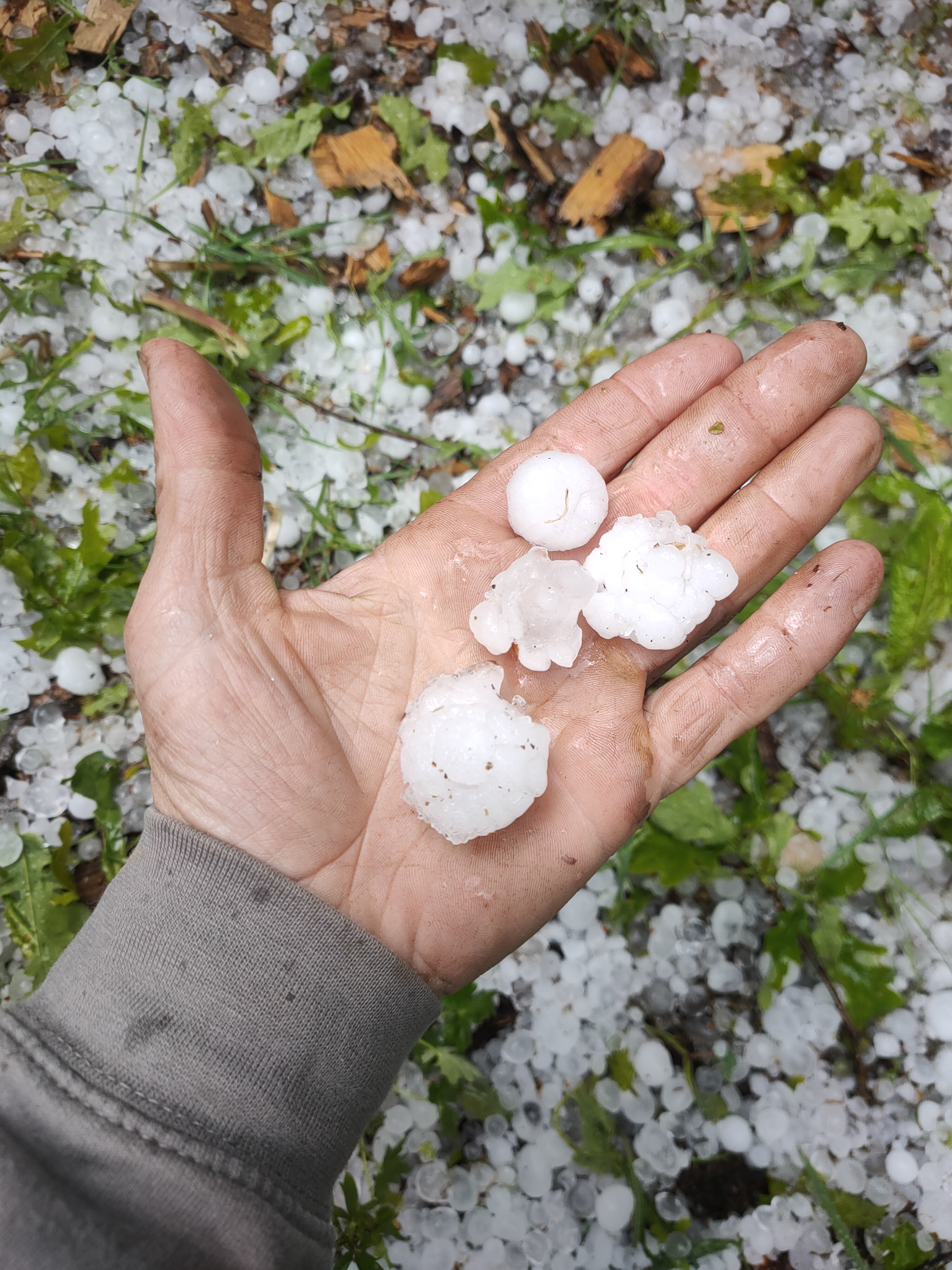 Orage stationnaire sur le Bousquet 12210 laguiole - 19/05/2025 15:00 - Annie Lebrave